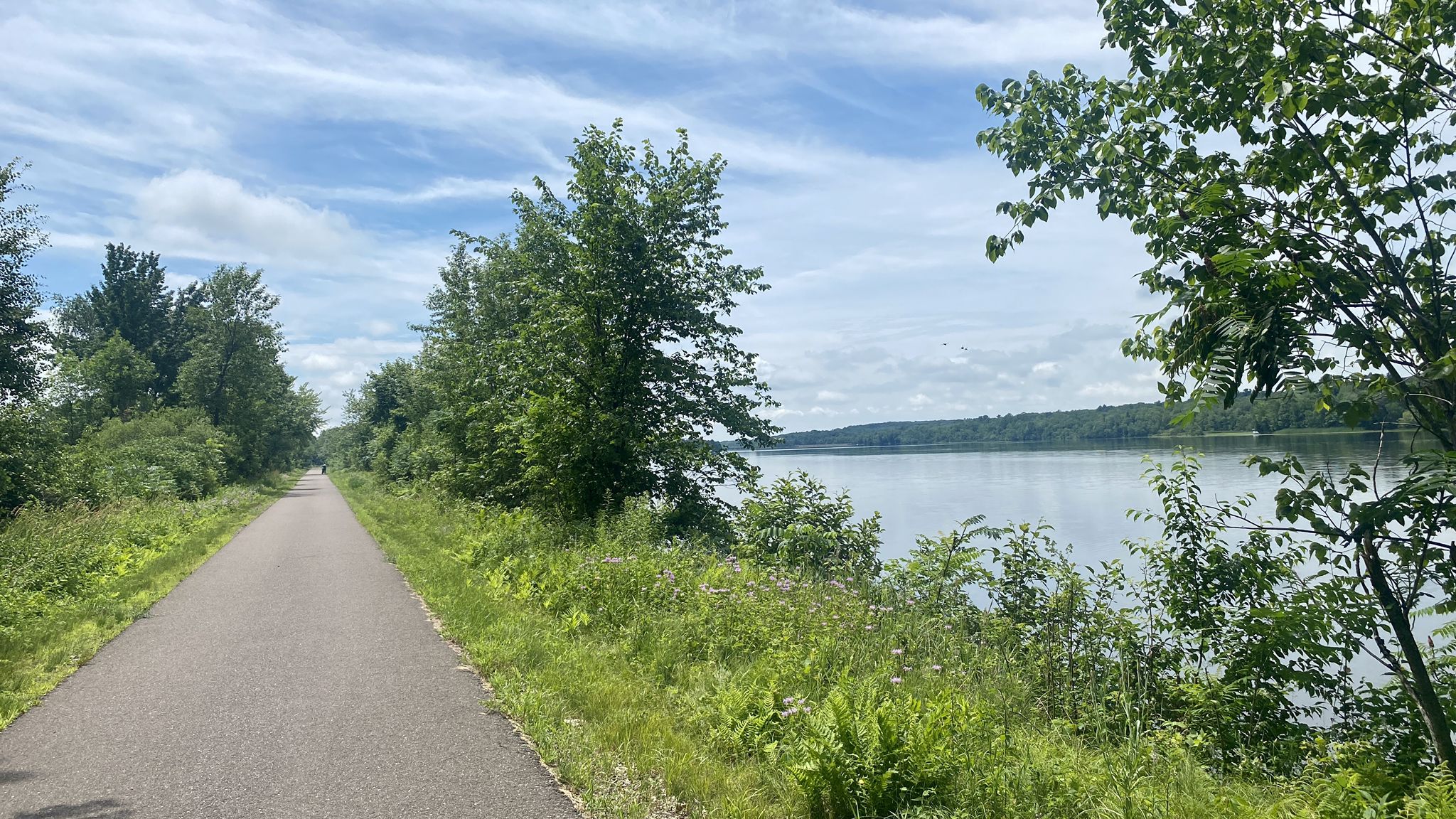 Paved path alongside a calm lake, lush green trees, and a bright sky. - State Park Beach loop from Lake Hallie
