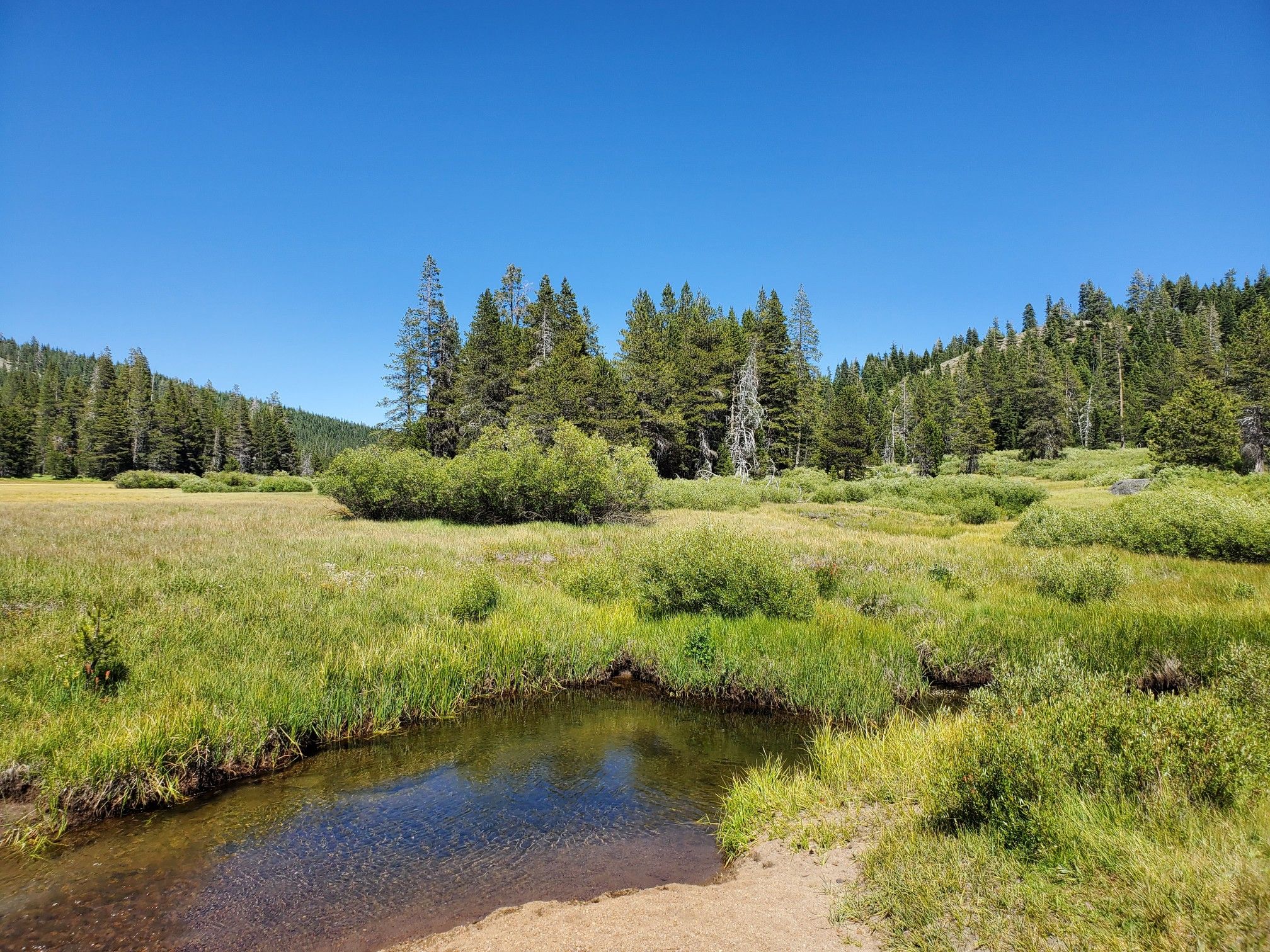 A small stream flows through a sunny green meadow surrounded by forest. - Euer Valley: North and South Roads Loop