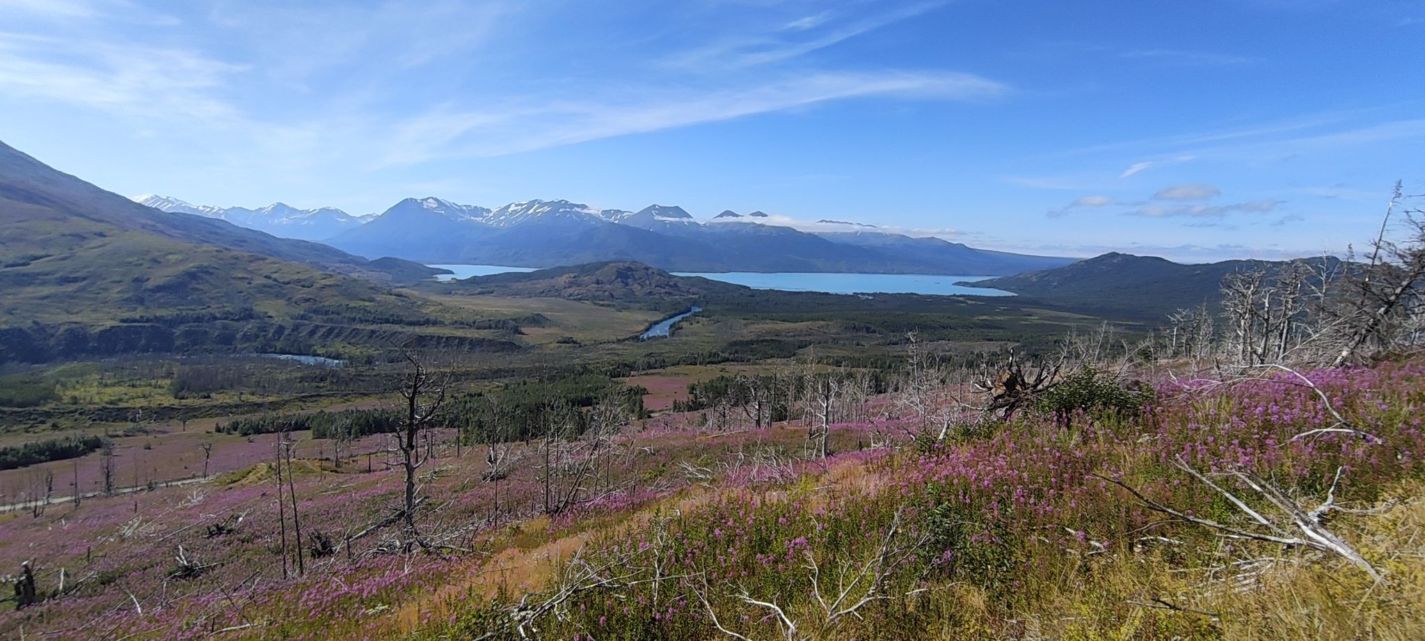 Panoramic view of a mountain valley, bright blue lake, and purple wildflowers. - Hideout Trail