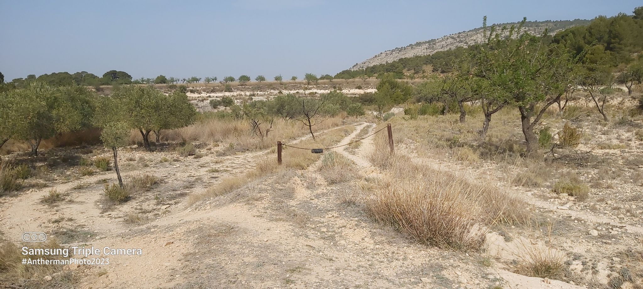 camino de la casa