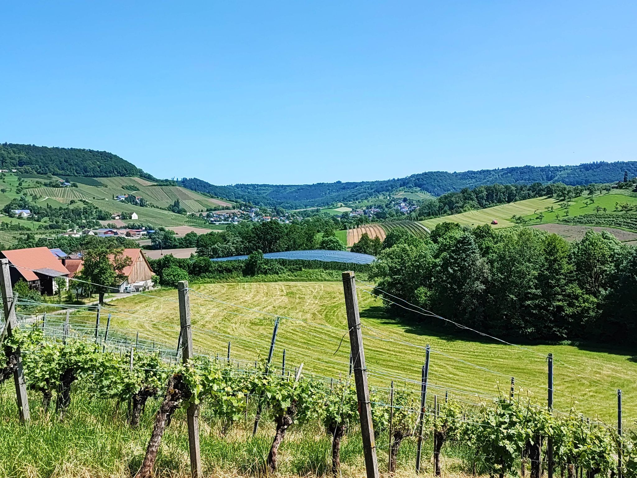 Steinbachtal