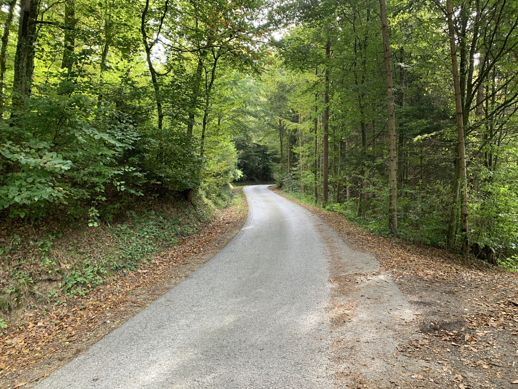 Haslweg