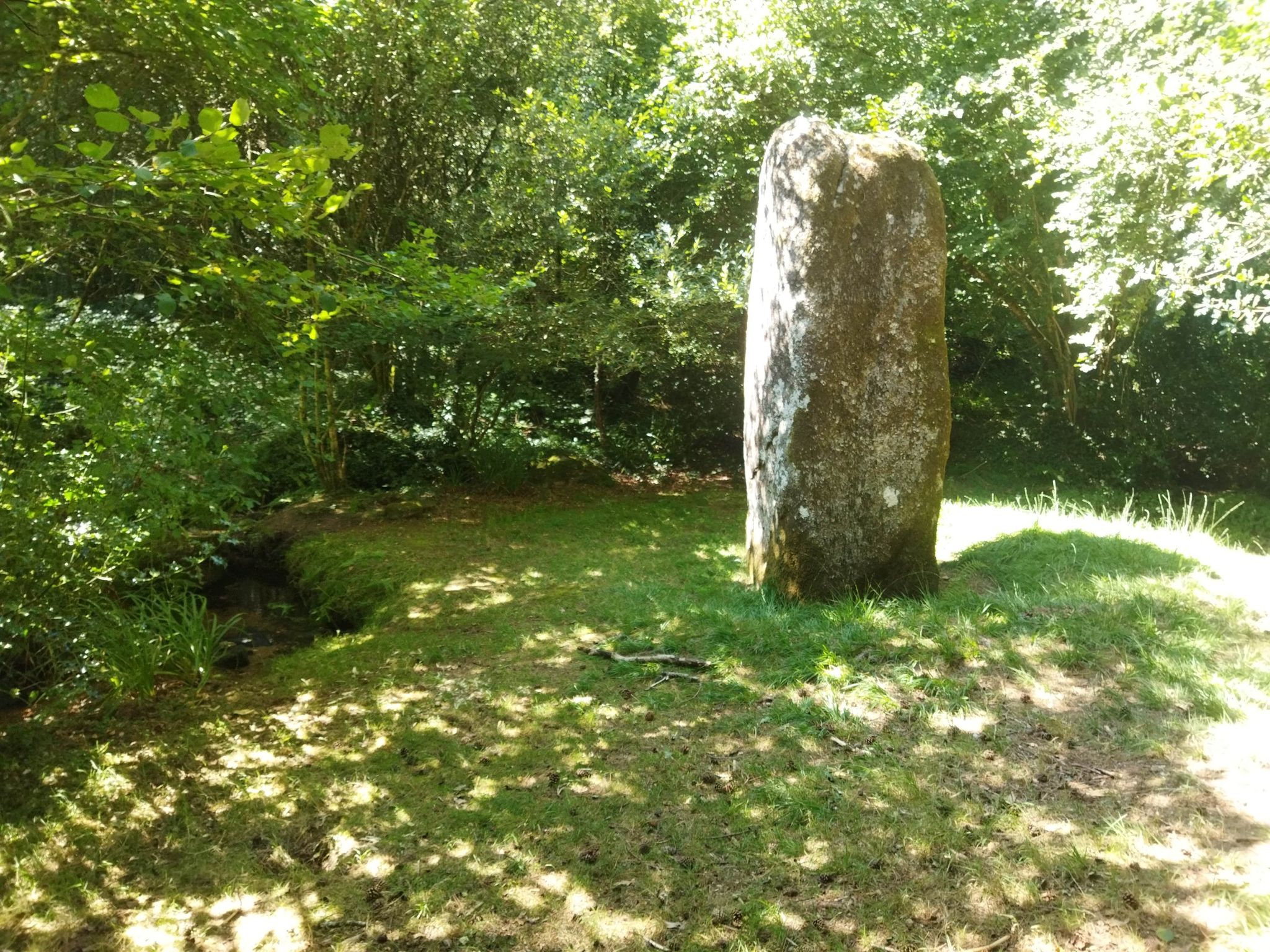 mon menhir préféré , perdu dans la forêt et entoure d un ruisseau👌