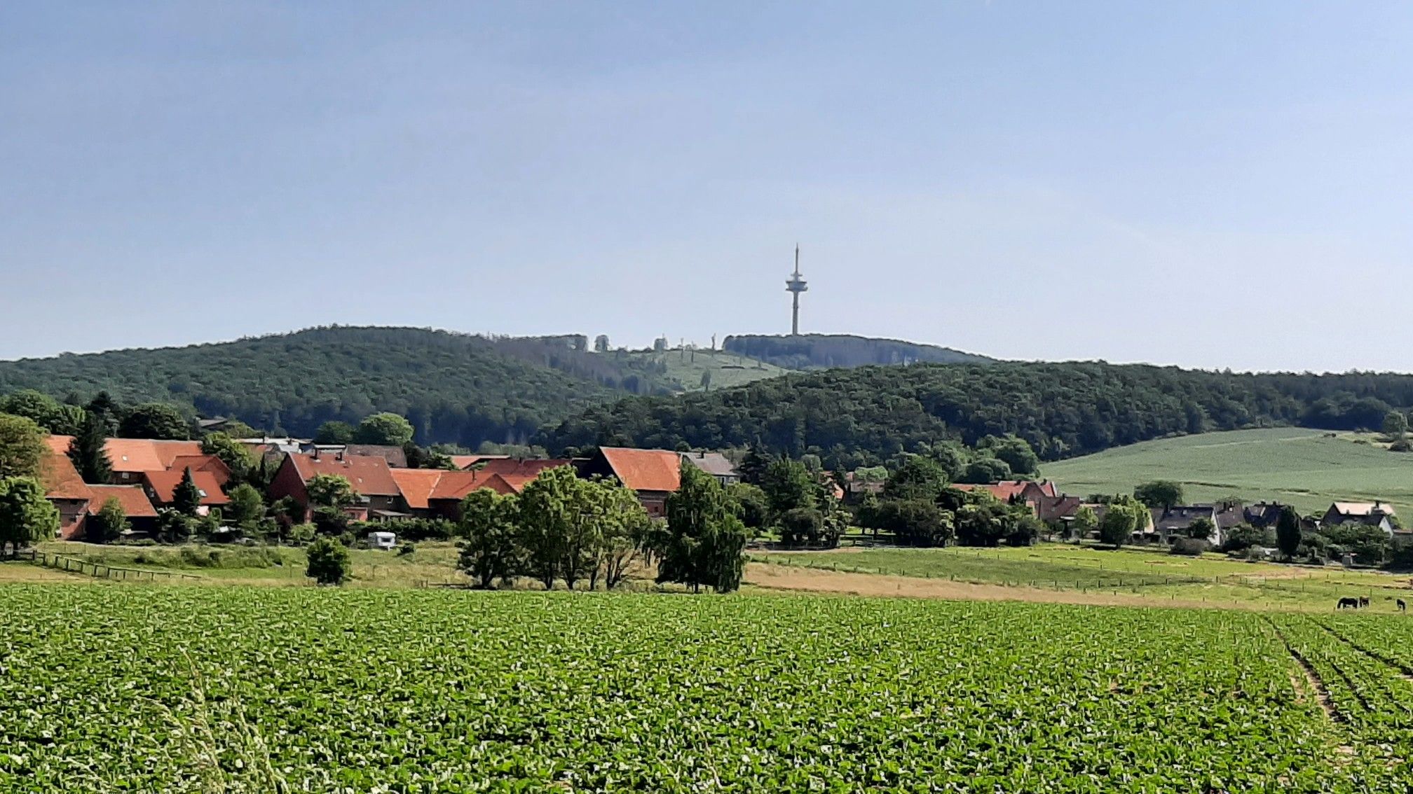 Griesbergblick bei Petze