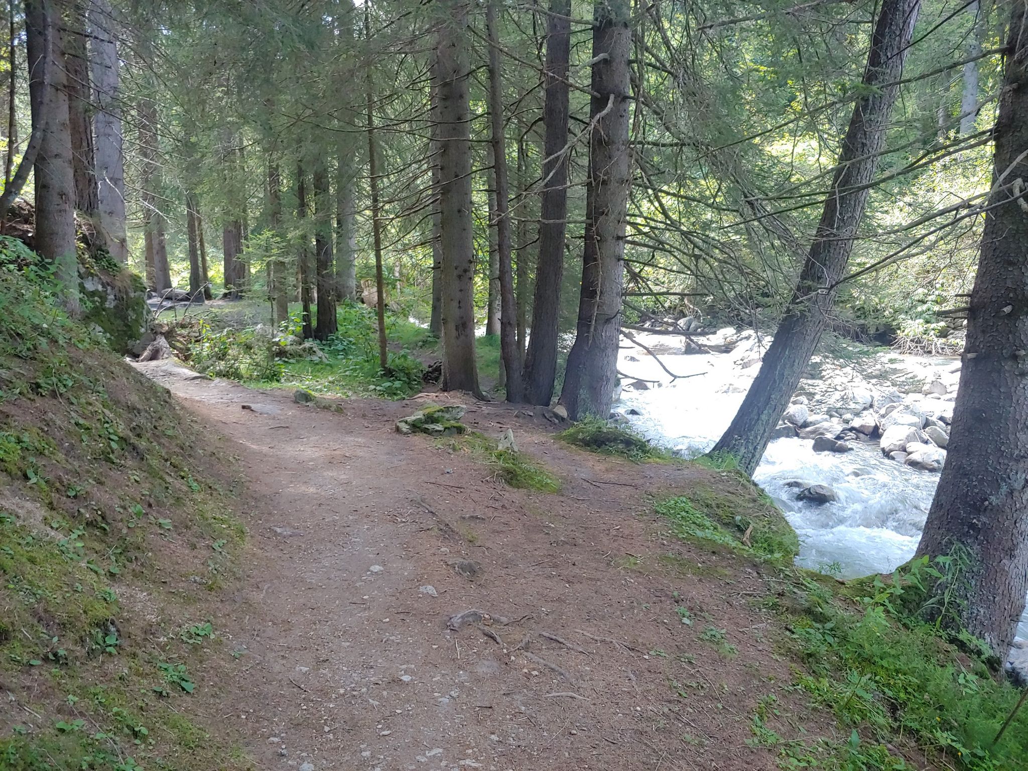schöner Trail am Bach