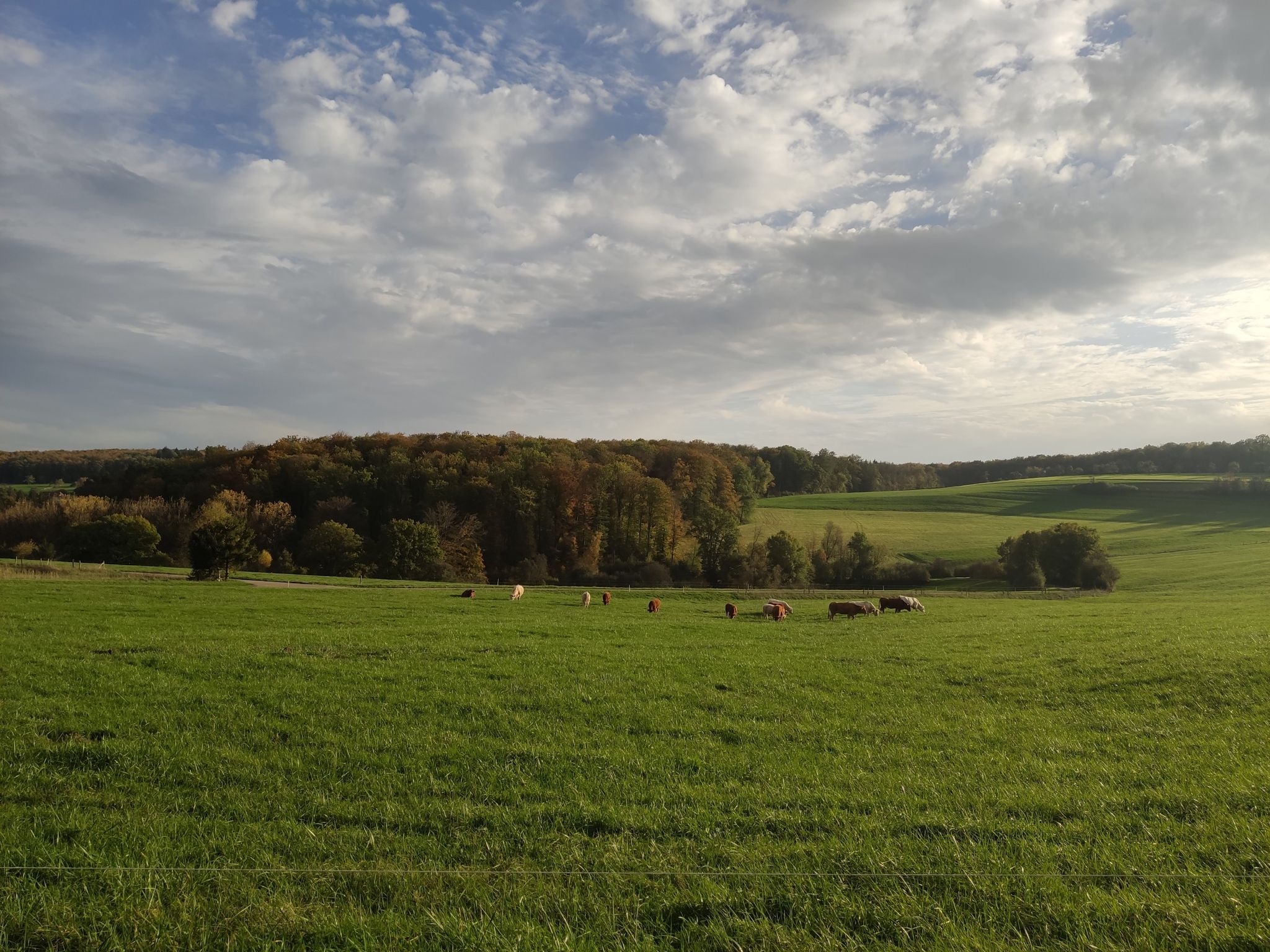 jolie route en lacet