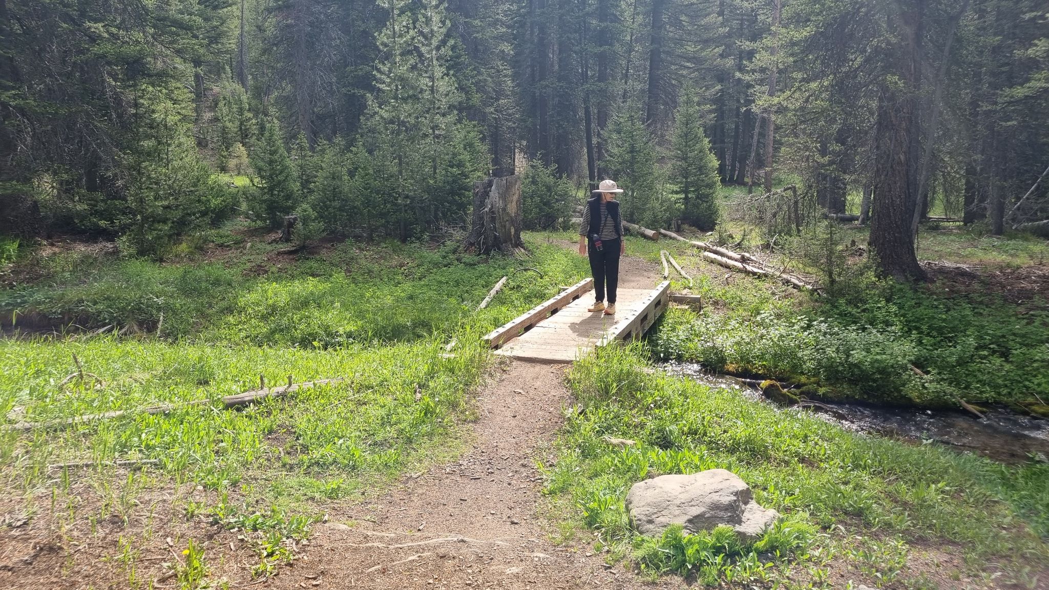 well-maintained trails