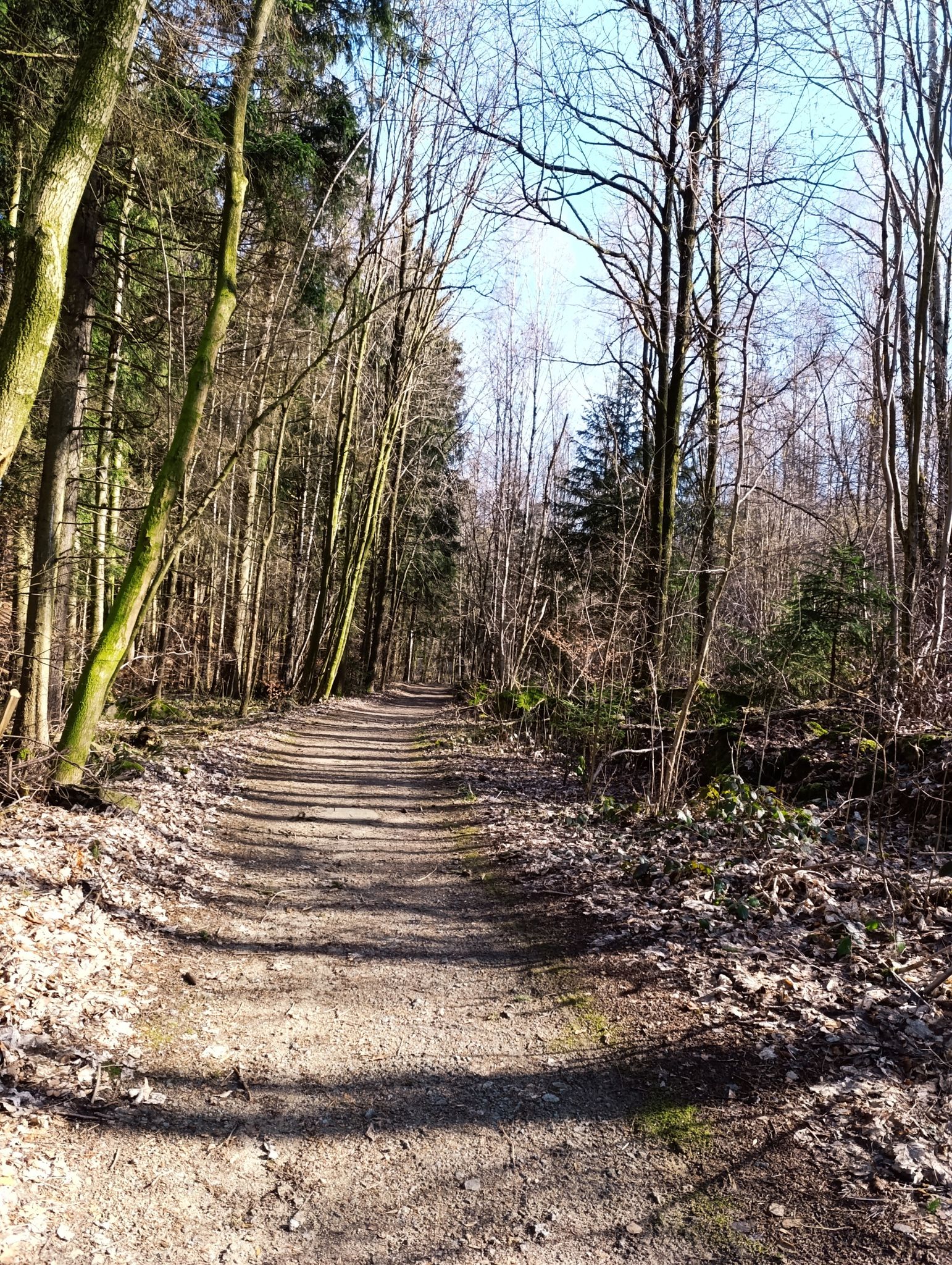 Im Höllgrund 