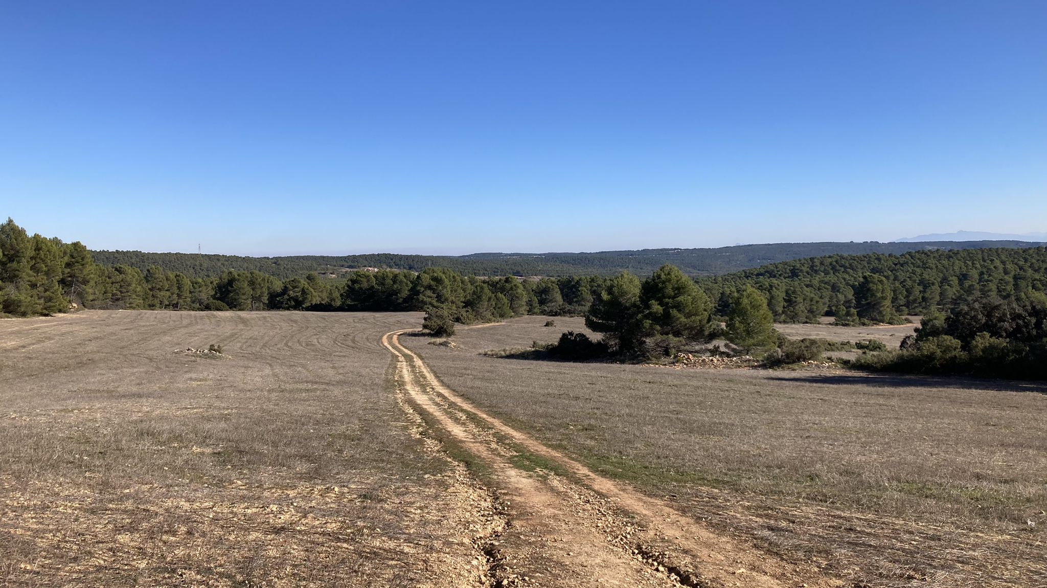 Cañada del Ollero
