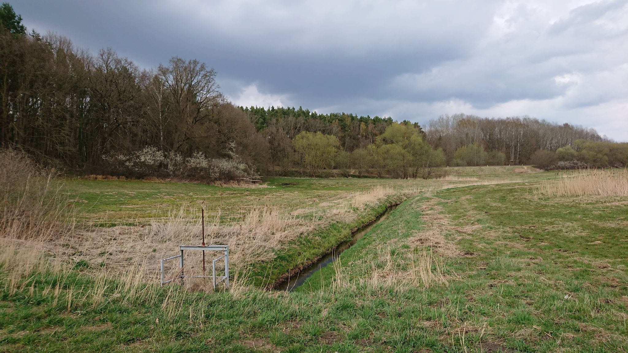 Lüdersdorfer Graben – Da ist er ja wieder.