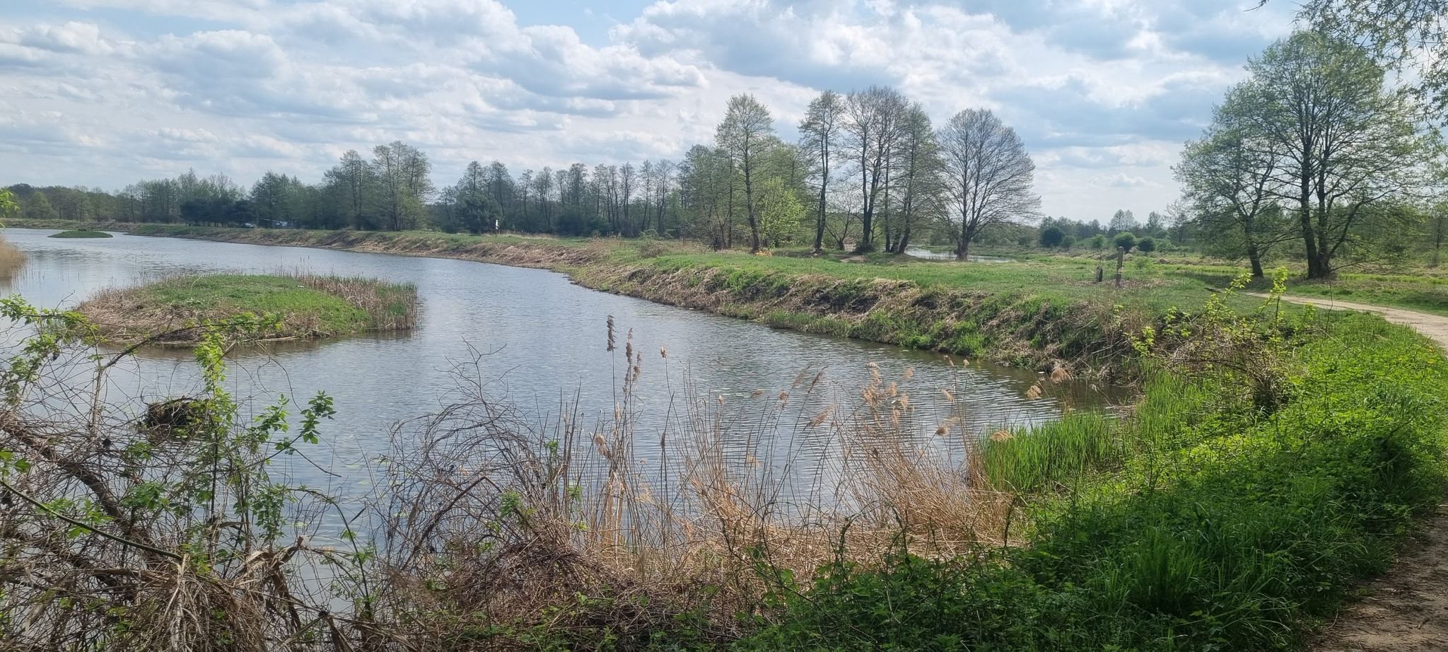 starorzecze