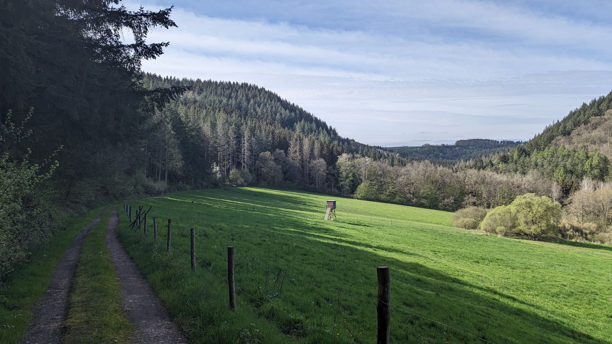 Salmtal zwischen Landscheid und Bruch