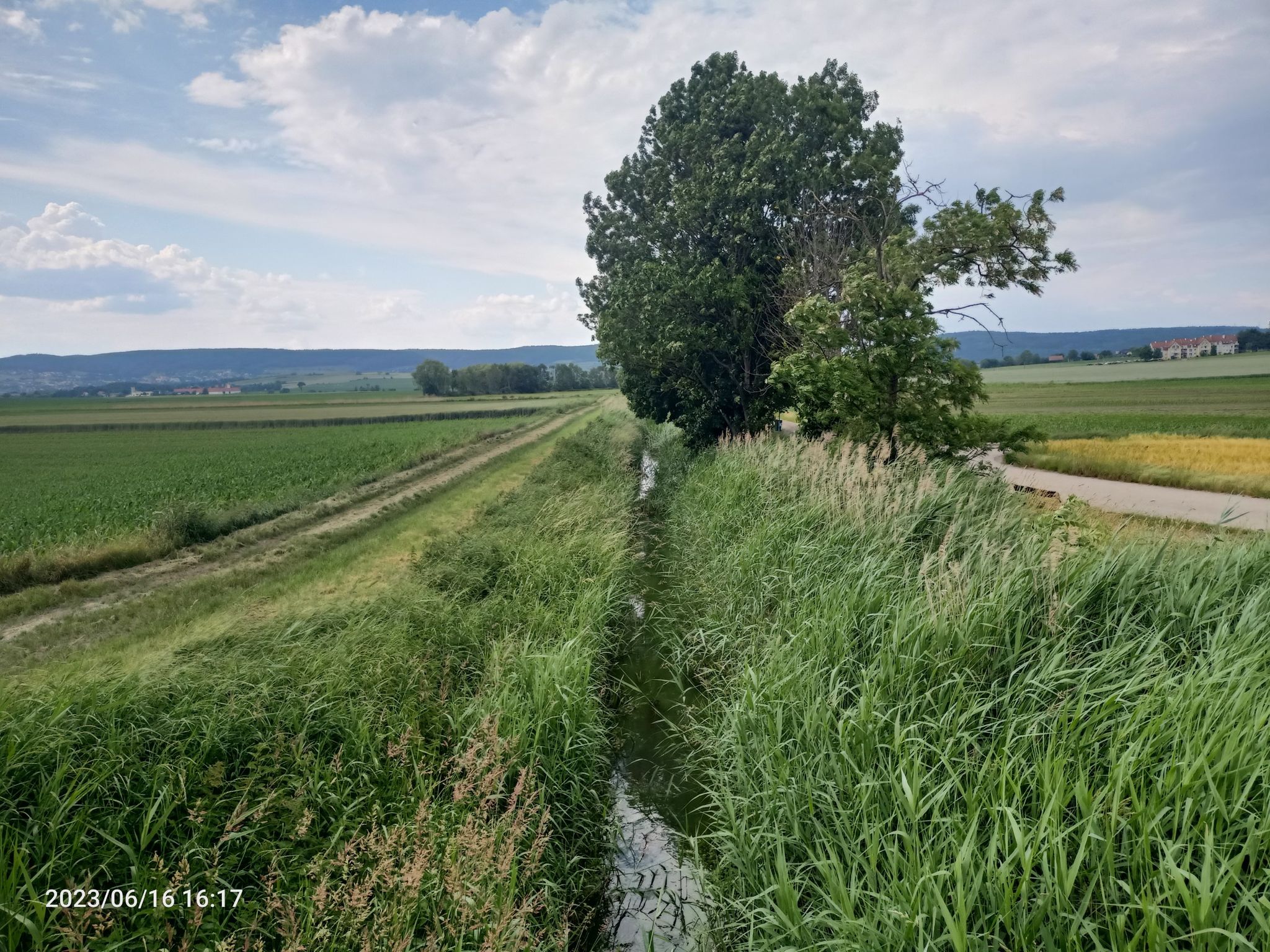 Die Fladnitz im Faldnitztal