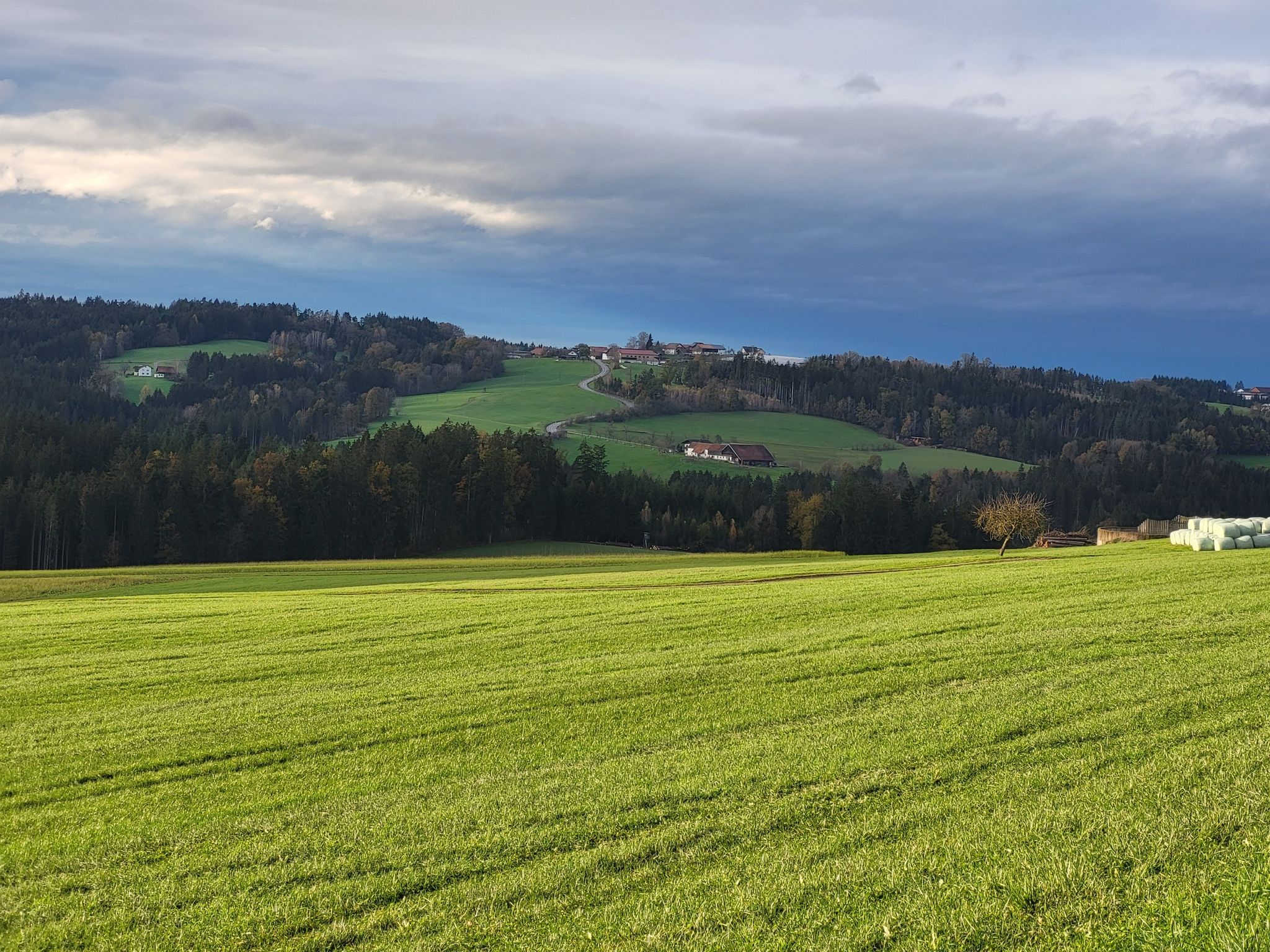 Weitblick Asing in Schardenberg