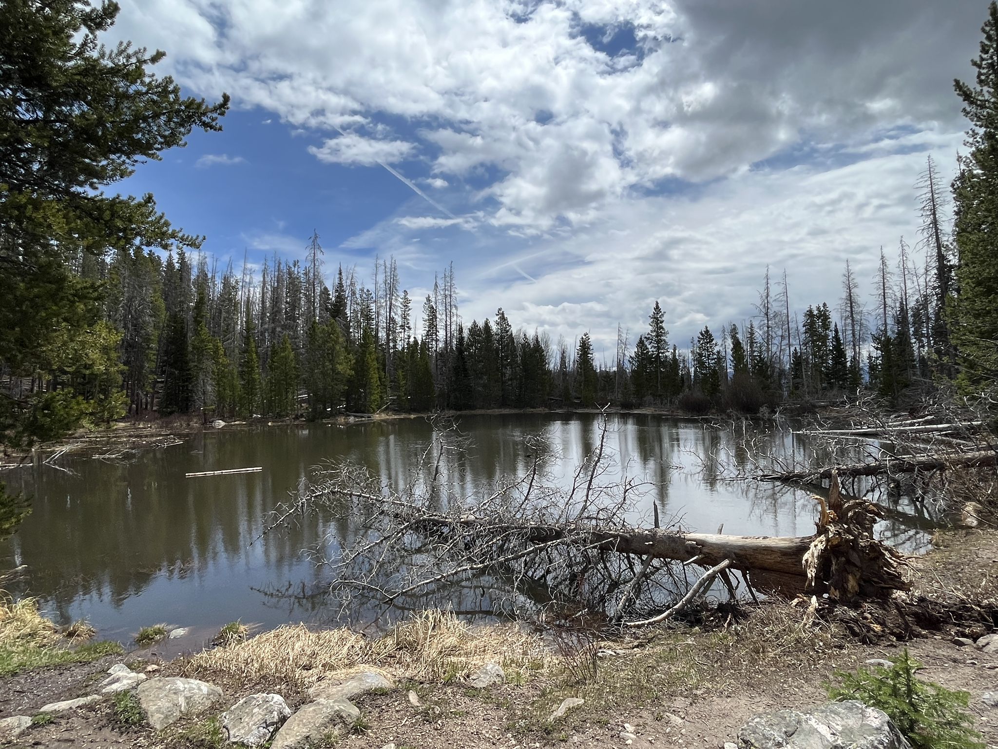 A still lake surrounded by a dense forest under a cloudy sky. - Buffalo Mountain Loop