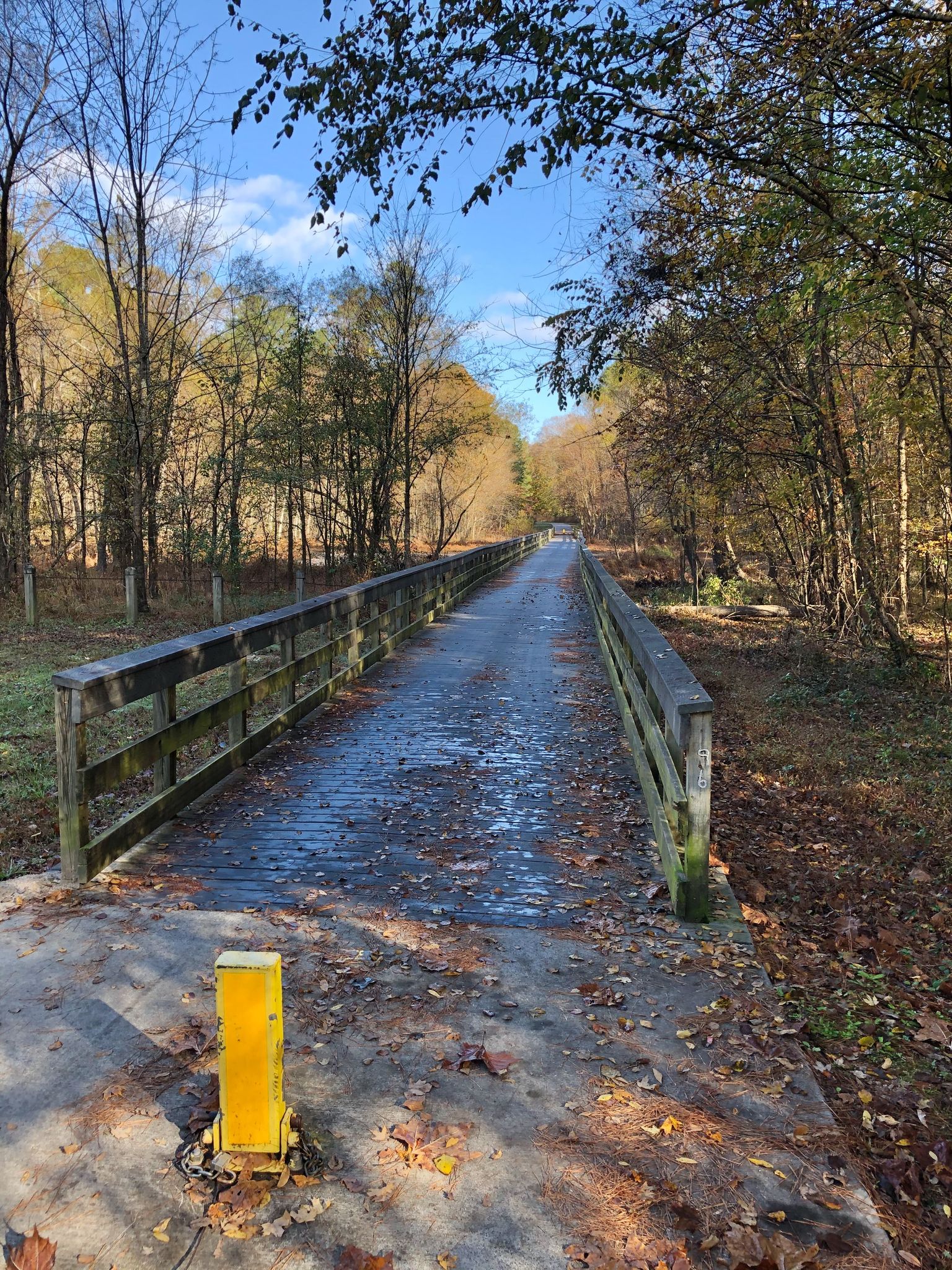 A long wooden bridge extends through a sunlit autumn forest. - Skycrest Suspension Bridge – Milburnie Overlook loop from Macgregor Downs Lake