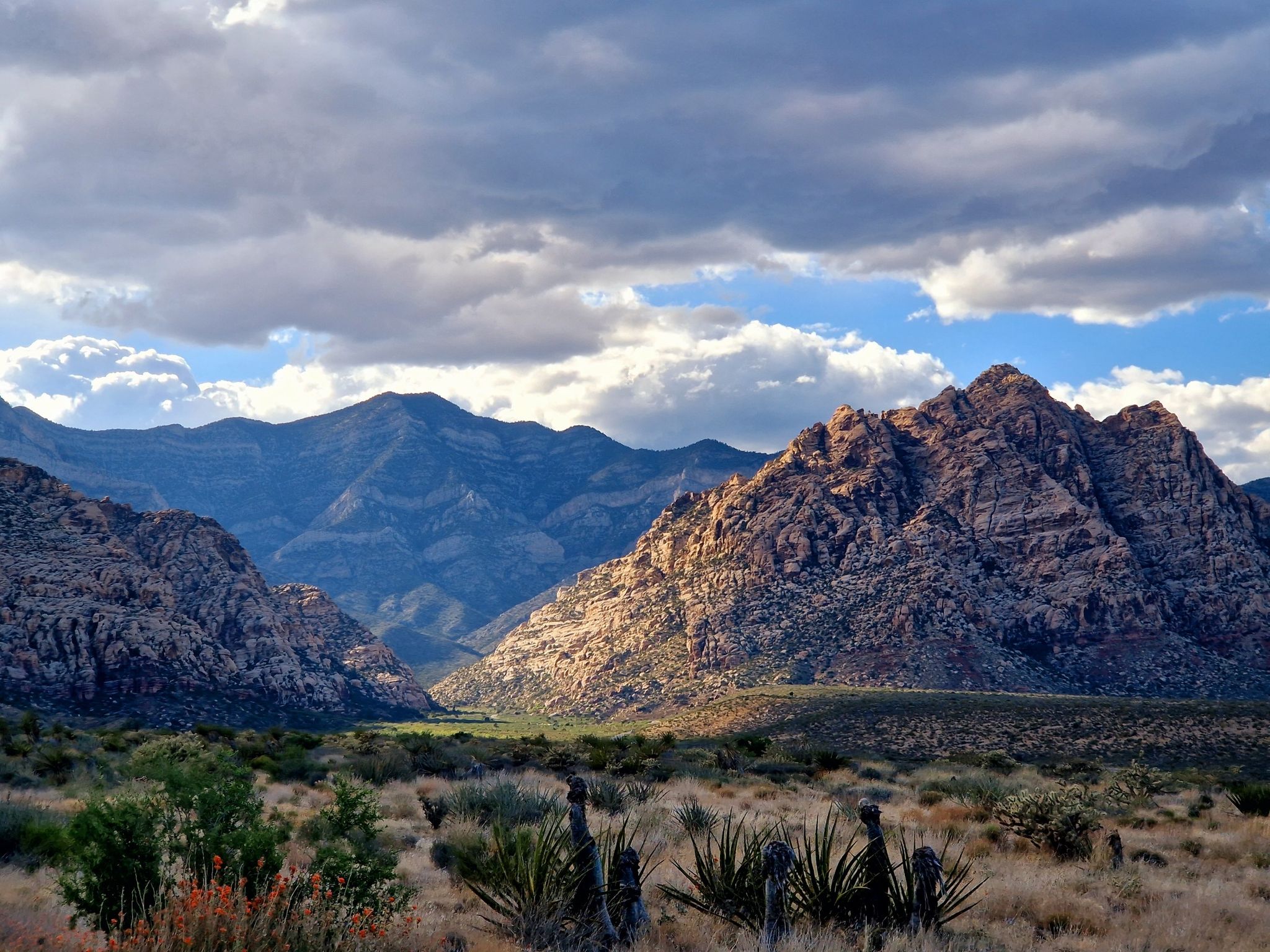 Desert valley with sunlit mountains and cloudy sky, sparse vegetation. - Red Rock Scenic Loop from Blue Diamond