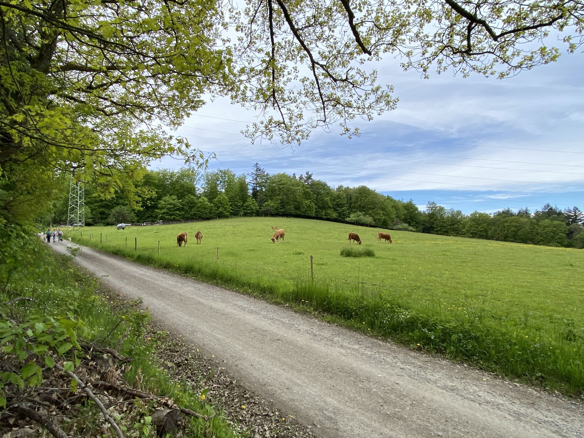Höhe Kortelshütte