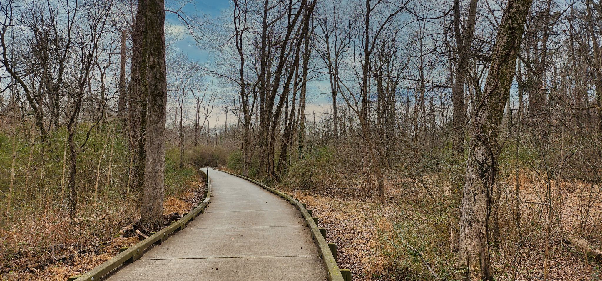 Paved path winding through a bare winter forest under an overcast sky. - Mallard Creek Greenway – Mallard Creek Greenway loop from Belle Haven