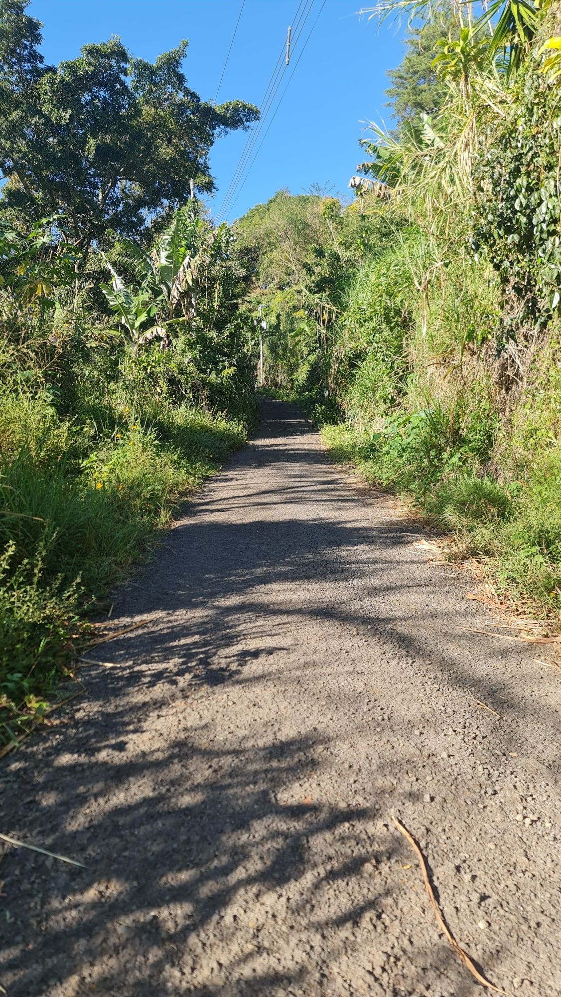 gravel 1