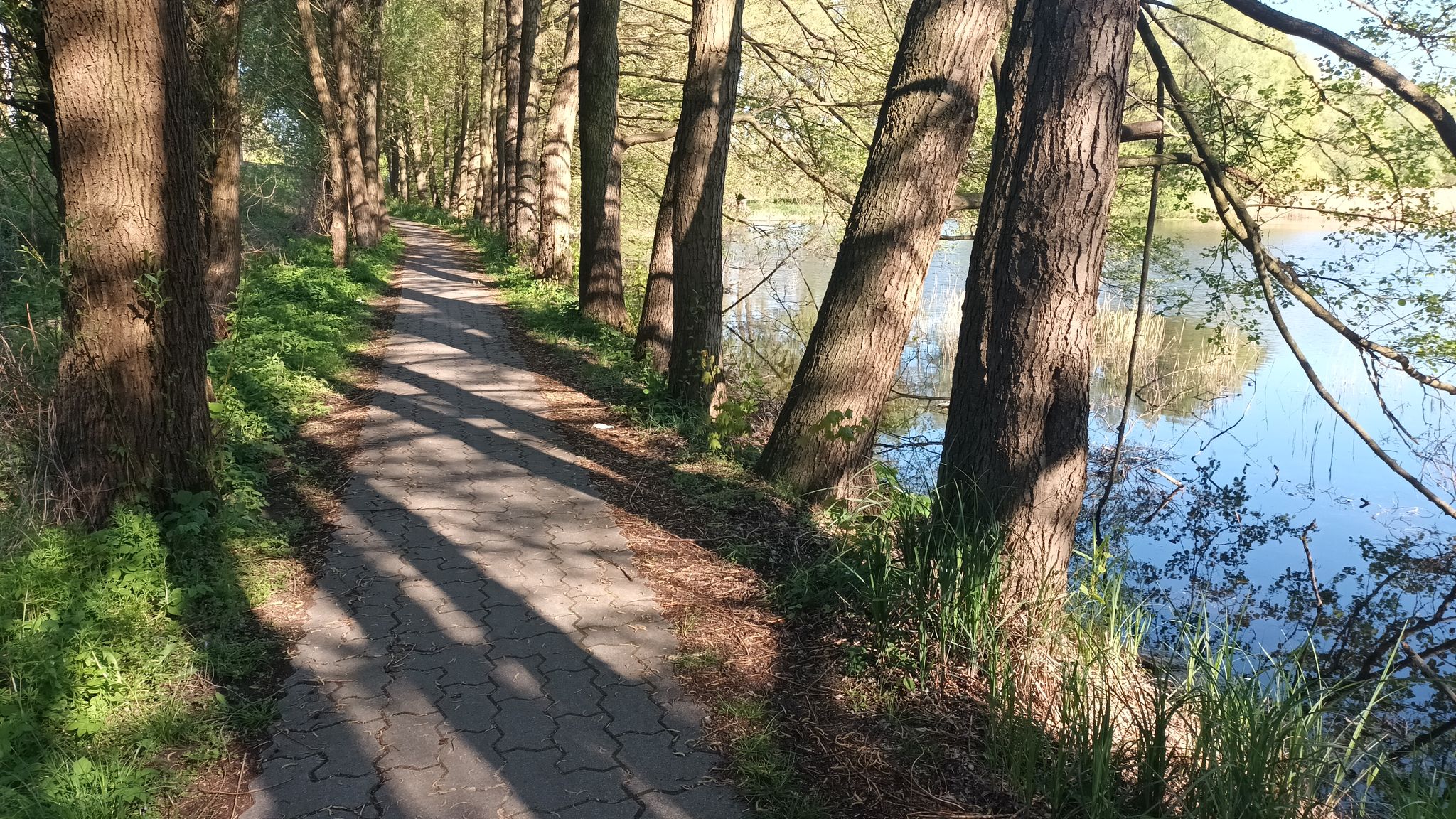 Entlang der Schwenze