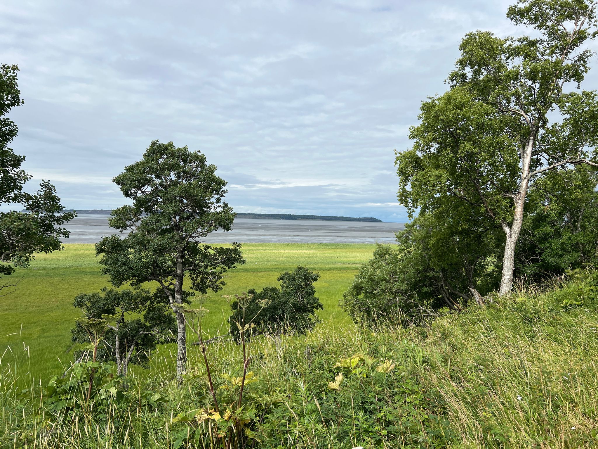 Green field and trees overlooking a calm body of water under cloudy sky. - Sendy Loop from Raspberry Parking