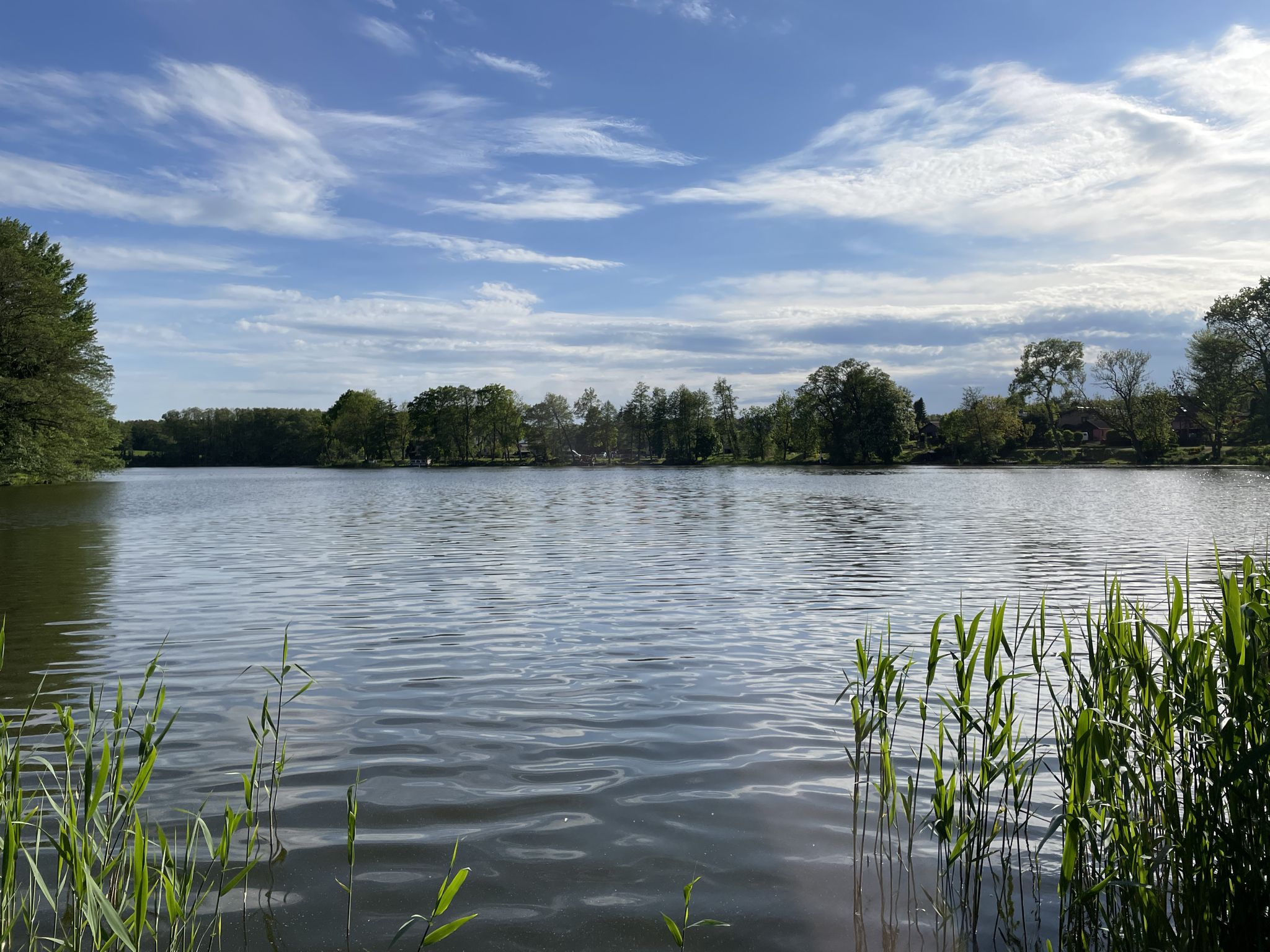 Haussee