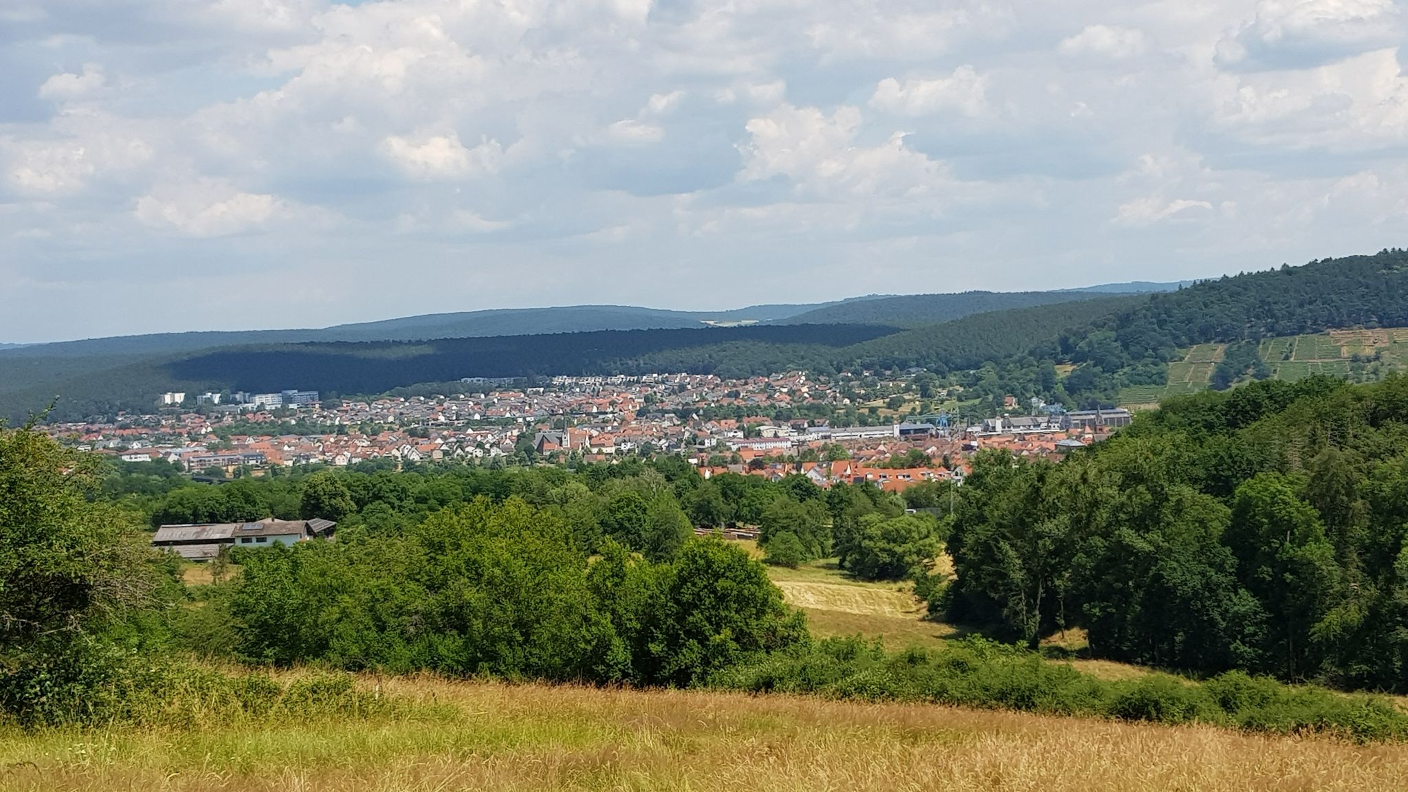 Blick nach Erlenbach