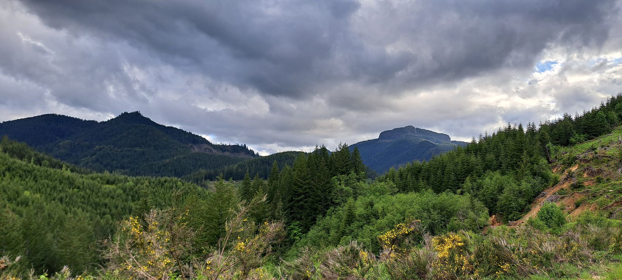 Panoramic view of forested mountains under a dramatic cloudy sky. - Table Rock Wilderness gravel loop
