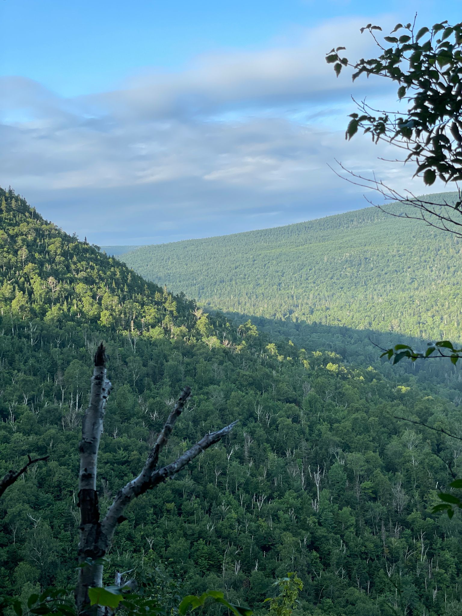 Lush green forested mountains and valleys under a bright, cloudy sky. - Sugarloaf Mountain via Appalachian Trail