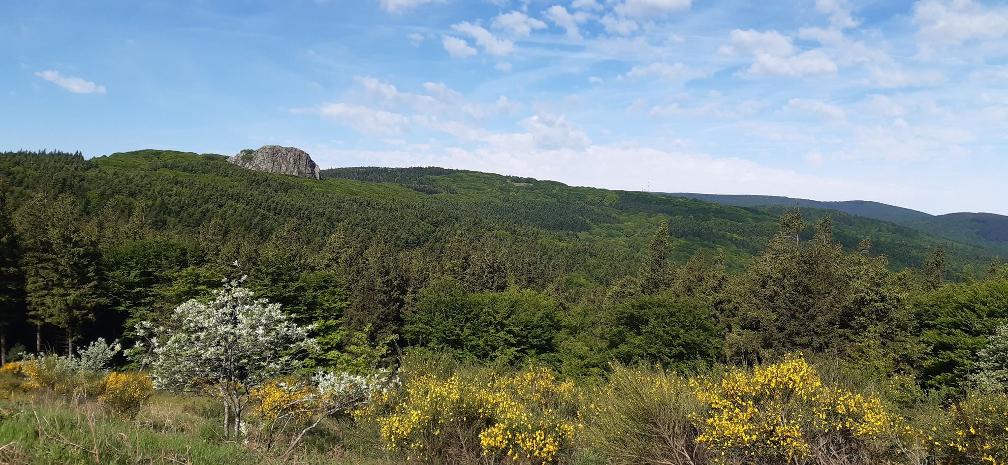 point waouh