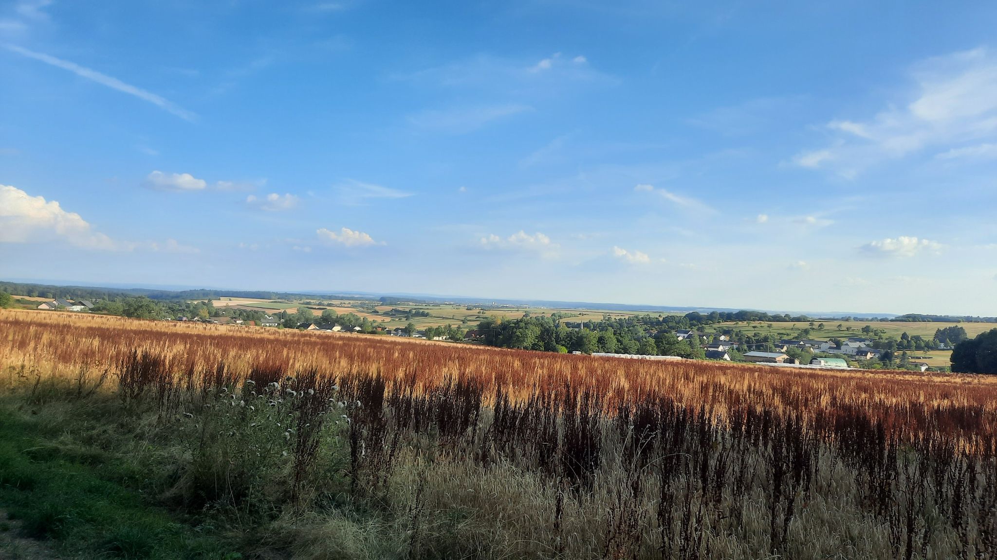 Blick auf Oberkail