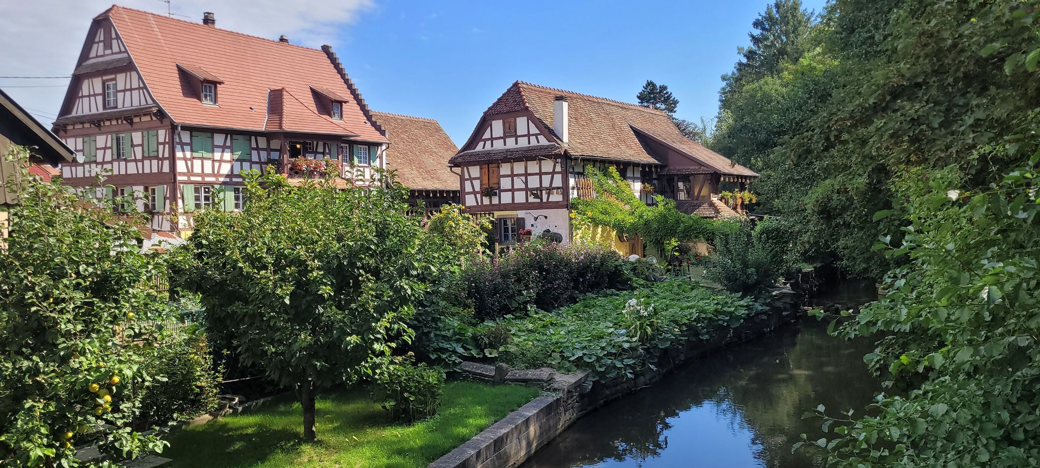Elsass pur
