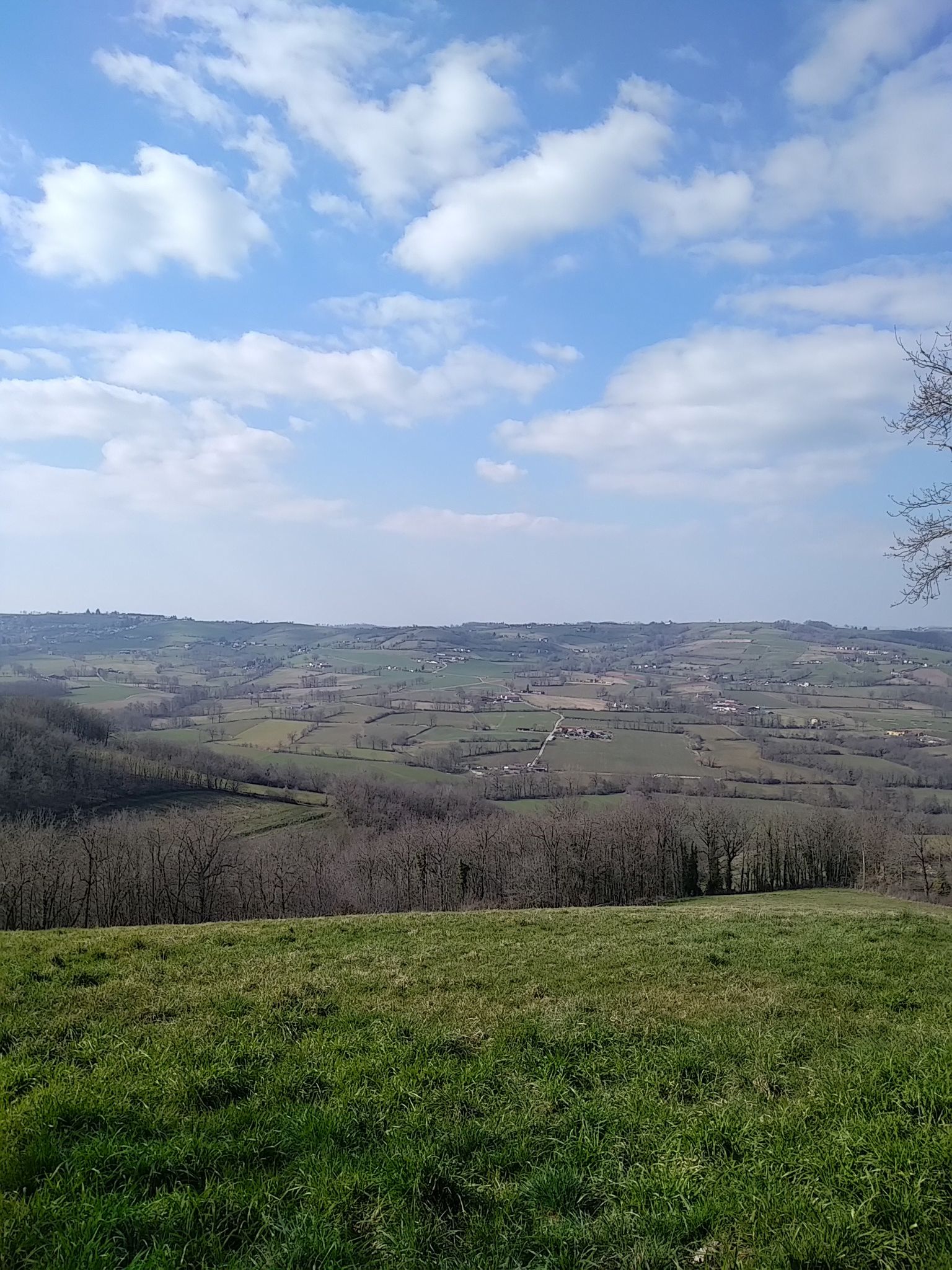 vallée de la Brevenne 03