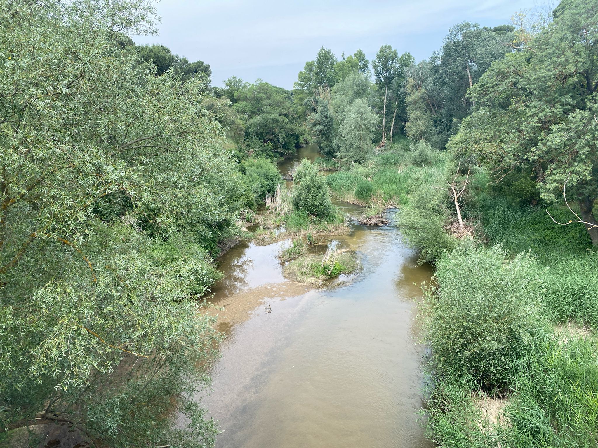 Brücke über den Rio Adaja