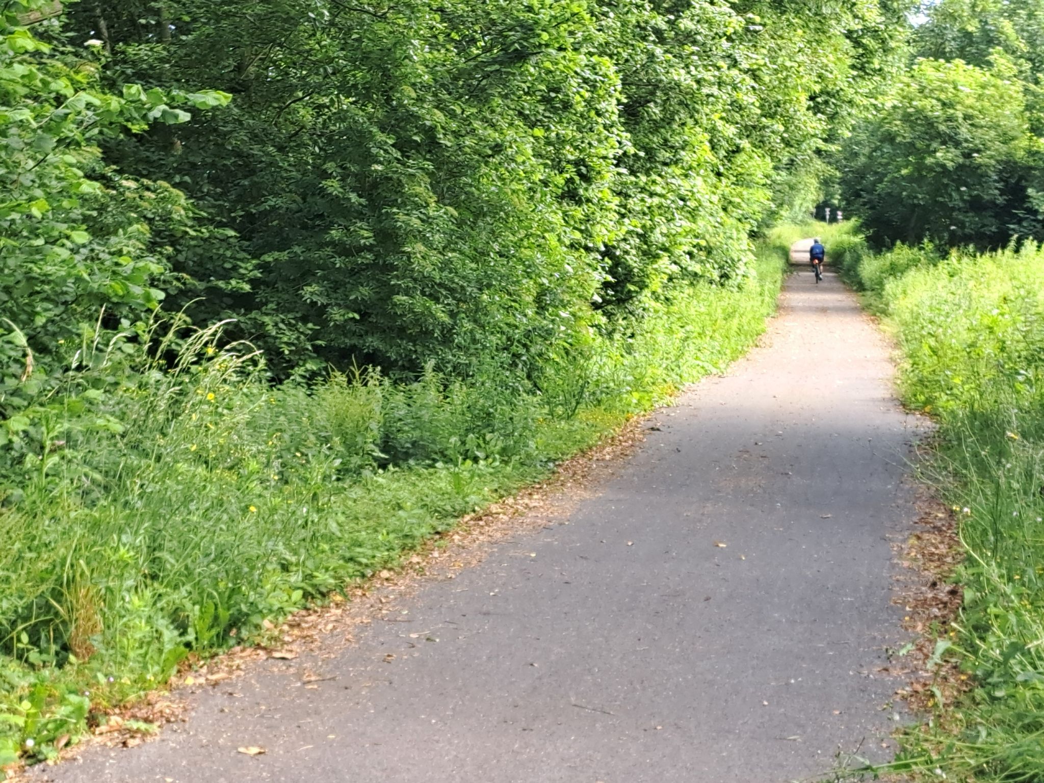 Bahnradweg