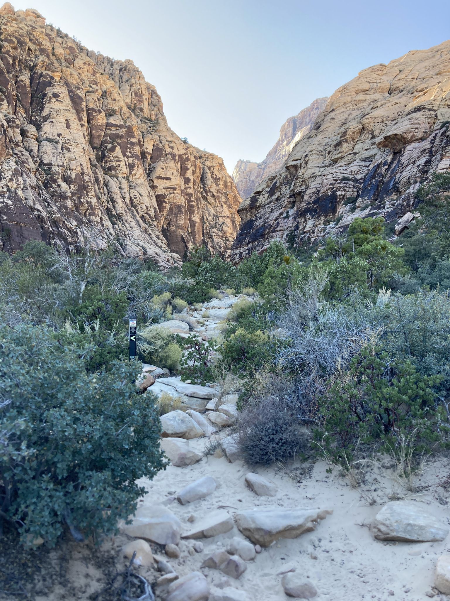 Rocky path winding through a sunlit canyon with desert vegetation. - Ice Box Canyon Trail