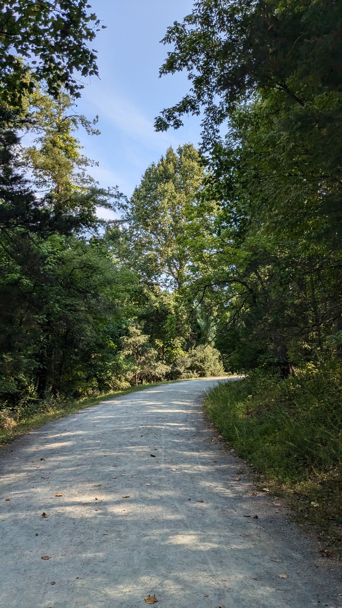 A wide gravel path curves through a sun-dappled green forest. - Saunders-Monticello Trail
