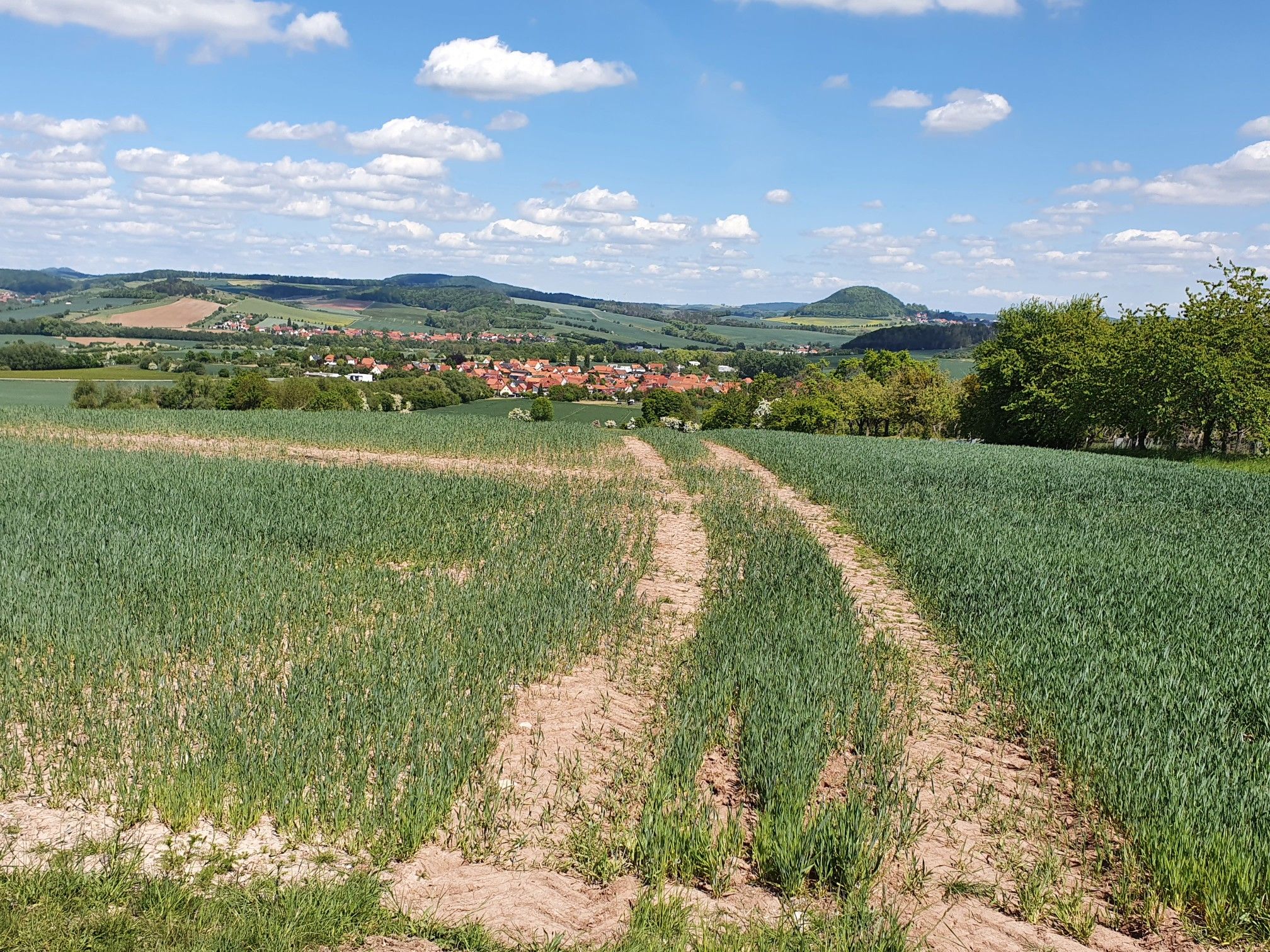 Blick auf Hohengandern und Rusteberg