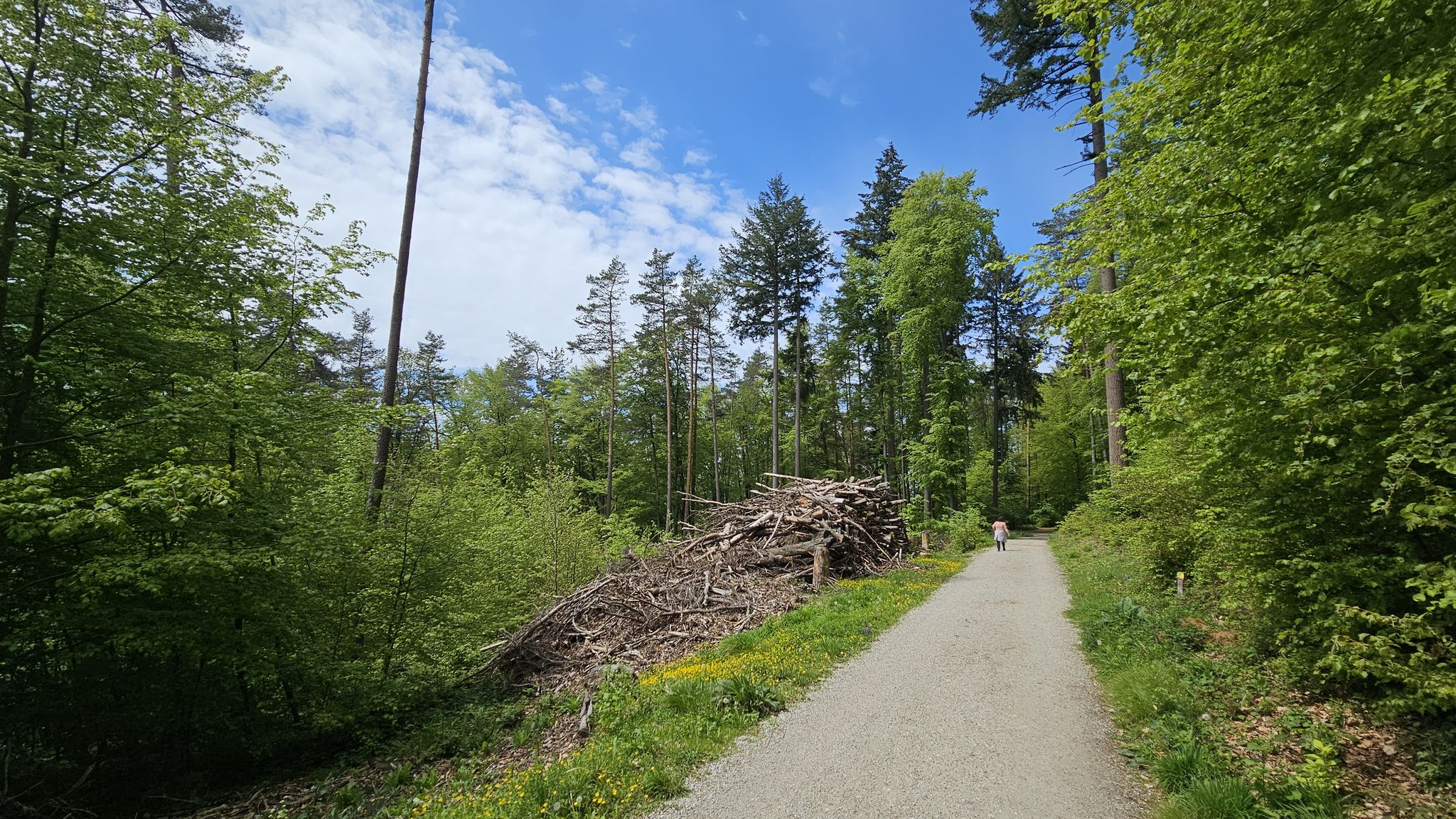 Teile des Weges sind asphaltiert. Kein Problem für einen Landstreicher und Wegelagerer