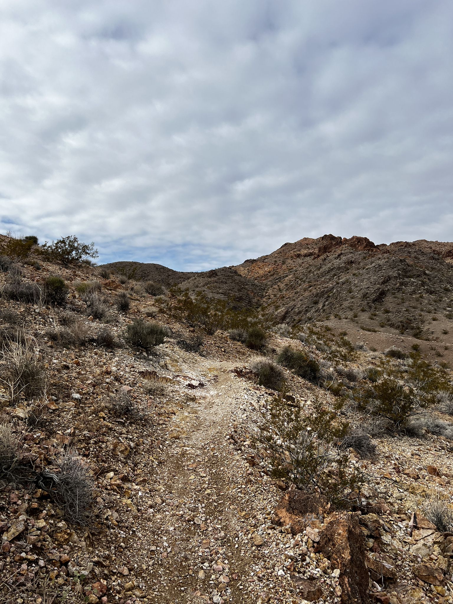 A winding desert trail through rocky, sparse landscape under a cloudy sky. - Mother & Ernie's Epic and Girl Scout Loop