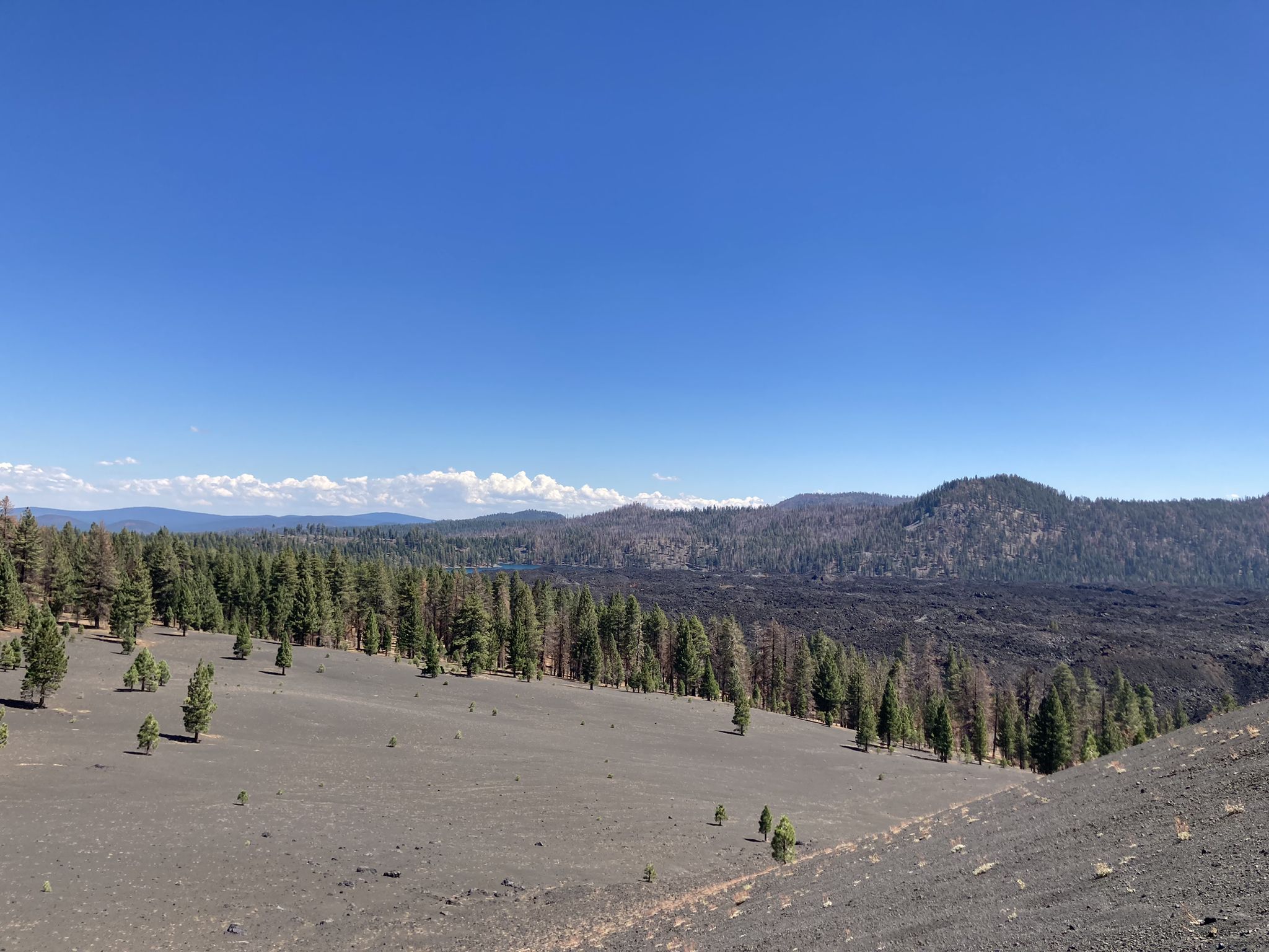 Wide view of a volcanic plain with scattered trees and distant forested mountains. - Cinder Cone Trail