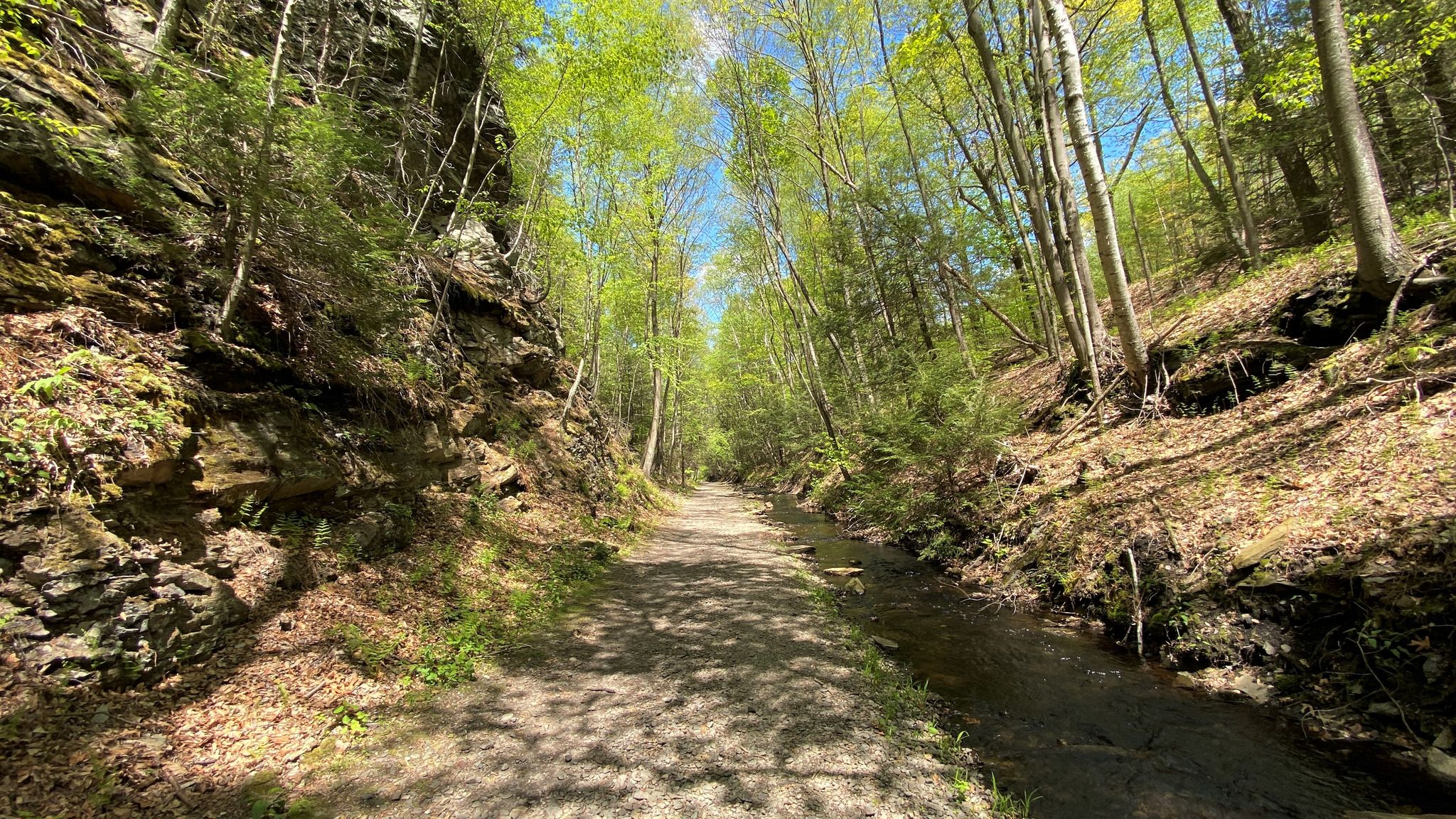 A sunlit path winds through a lush green forest with rocky walls. - Trail along Bolton Notch Pond loop from Bolton Notch State Park