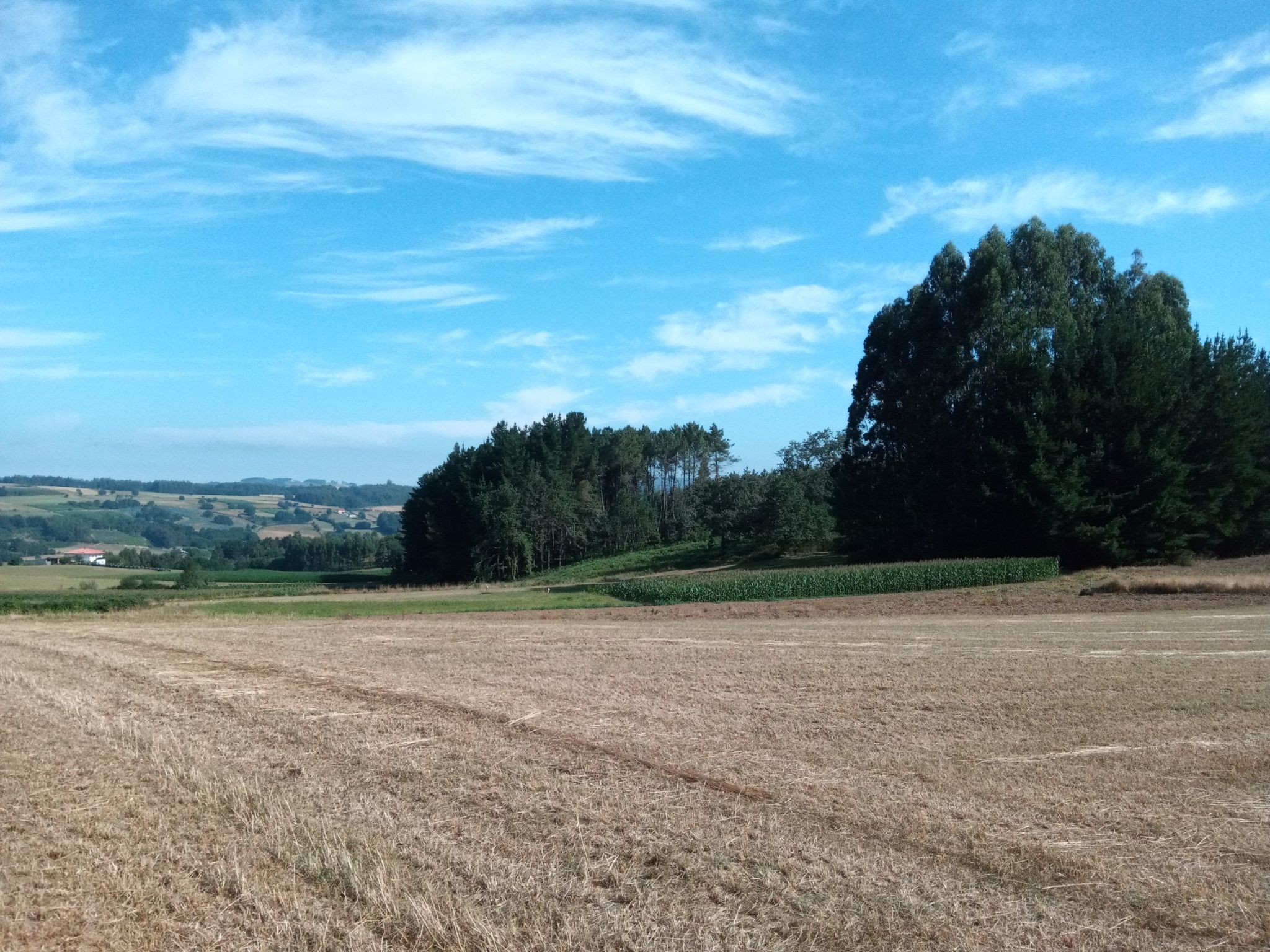 Nice countryside