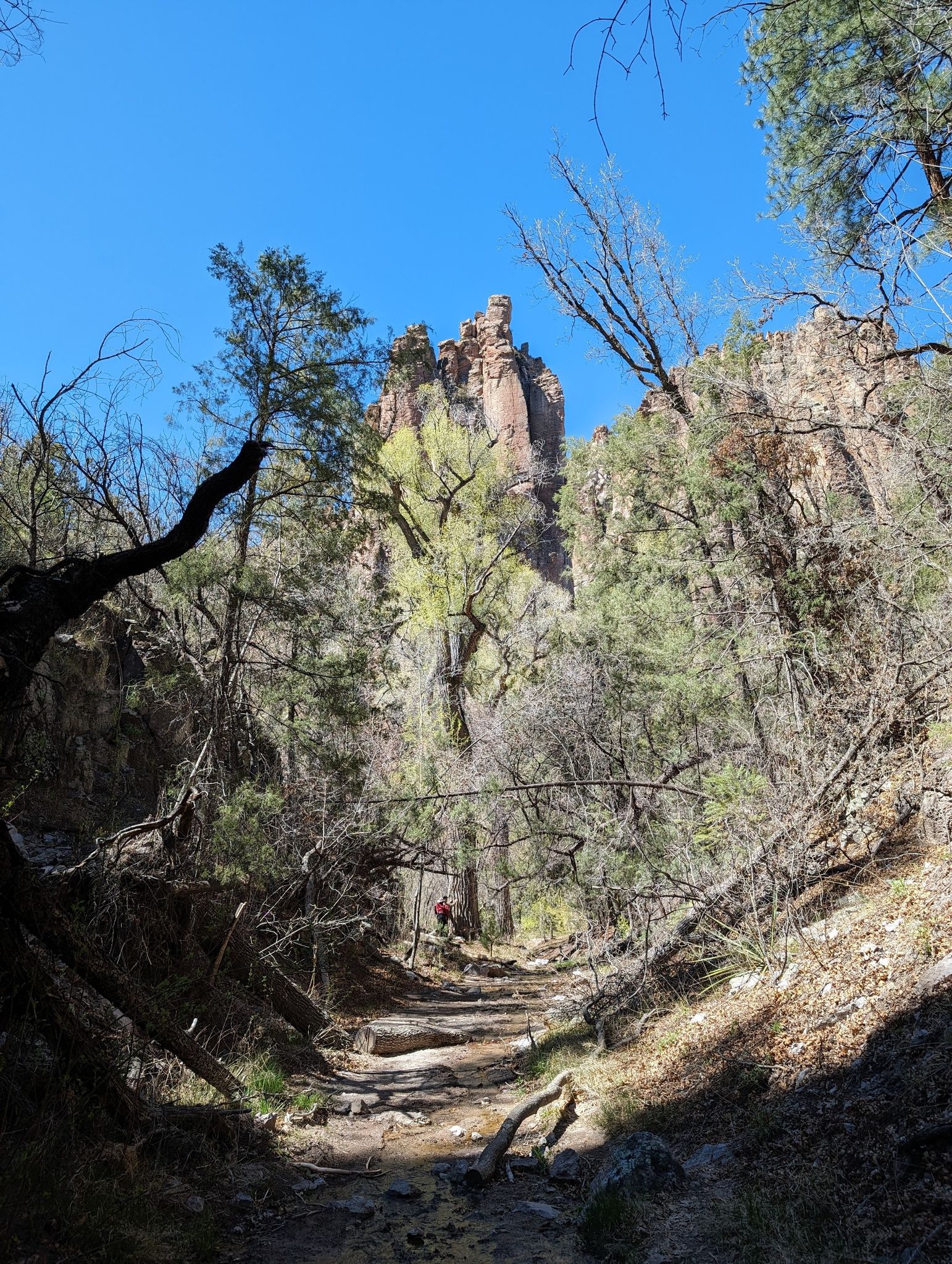 A person walks on a sunlit dirt path through a forest towards tall rock formations. - Little Bear Canyon Trail to Jordan Hot Springs