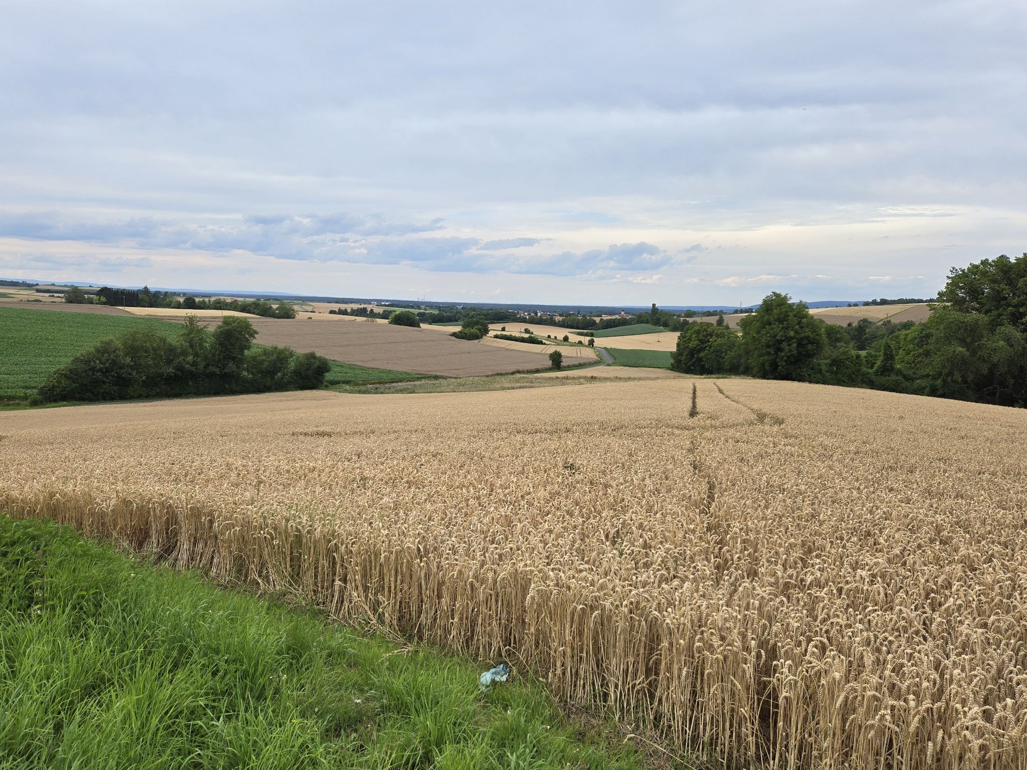 Blick über den Grundgraben Richtung Pflaumheim