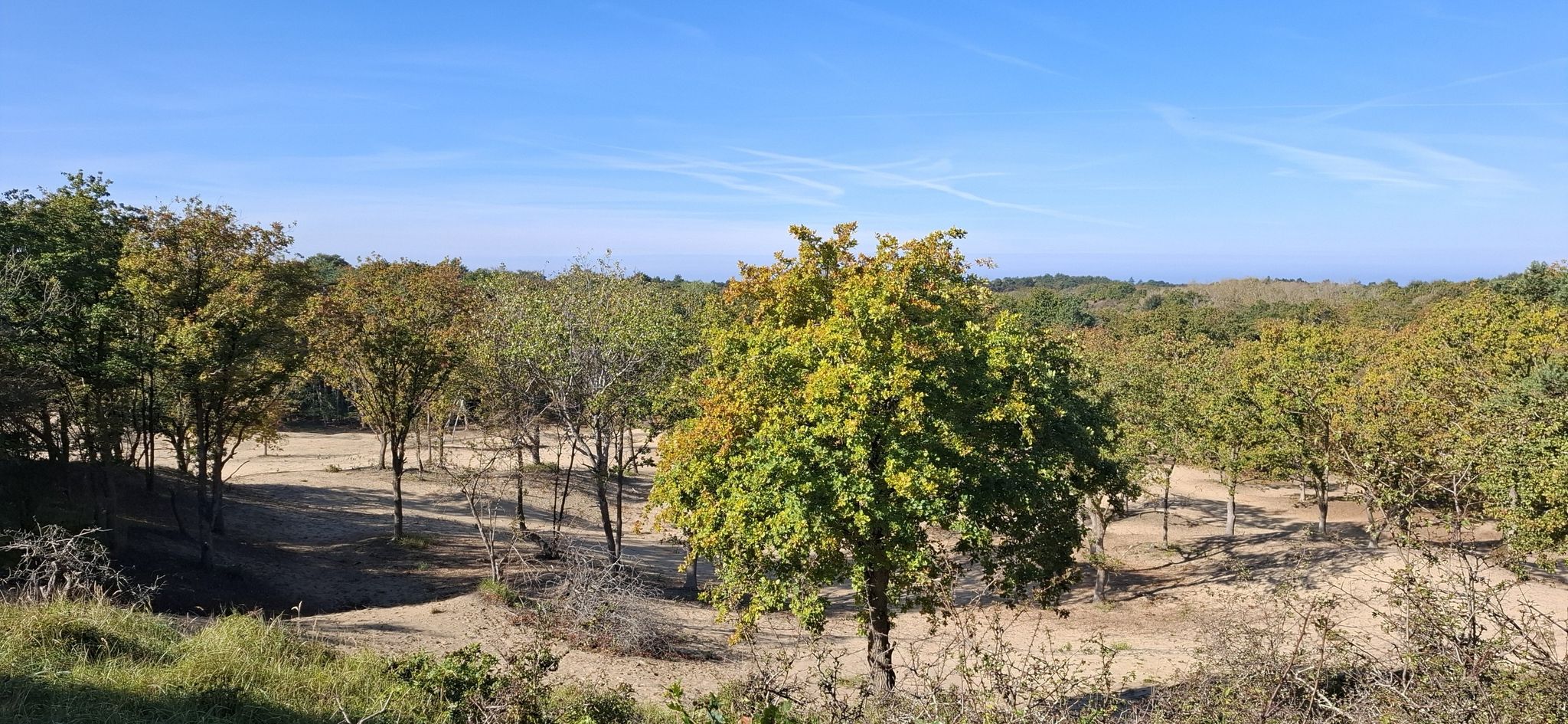 Het landschap hebben ze open gemaakt het is nu nog kwetsbaar gebied