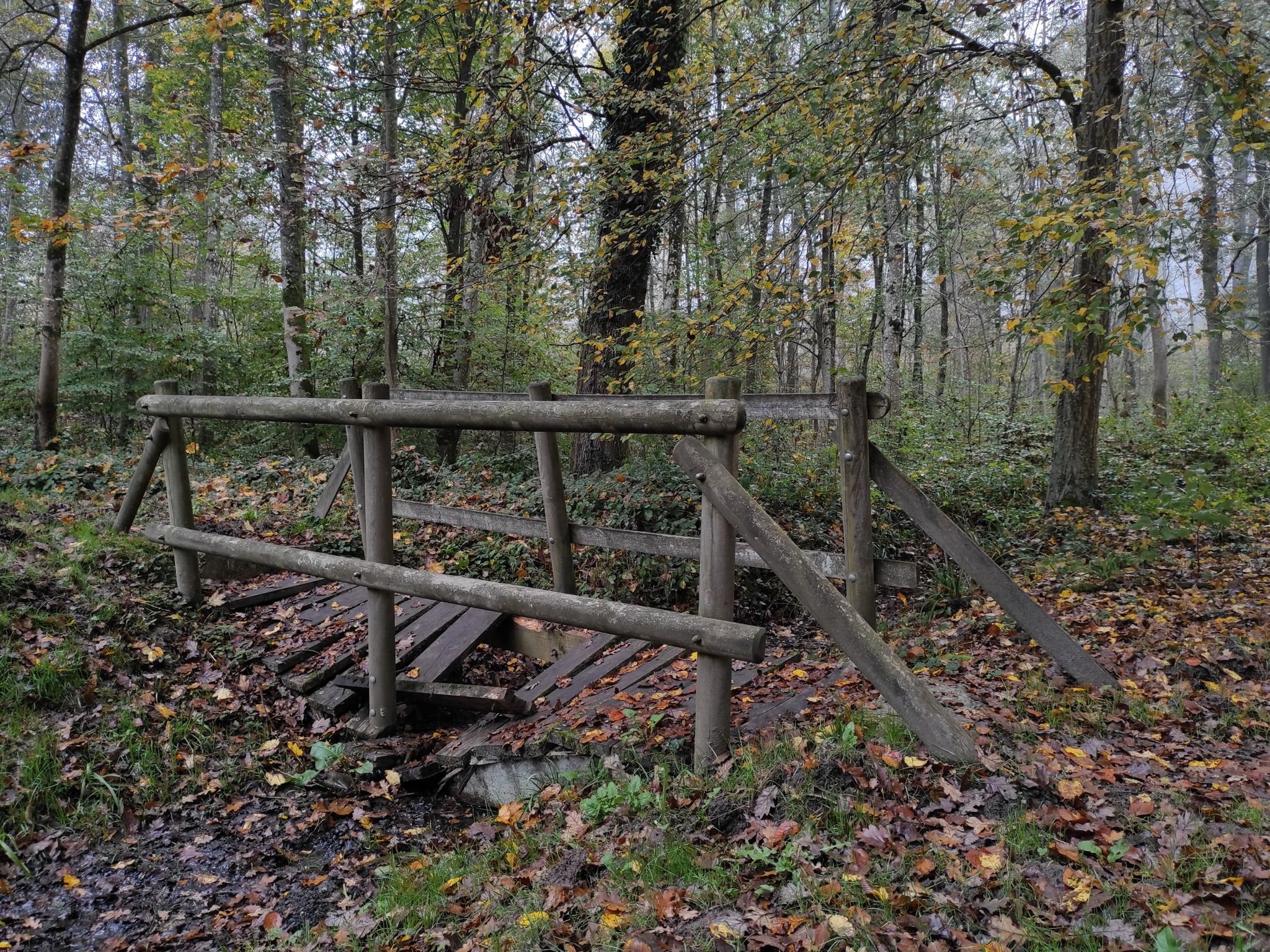 petit pont 😅