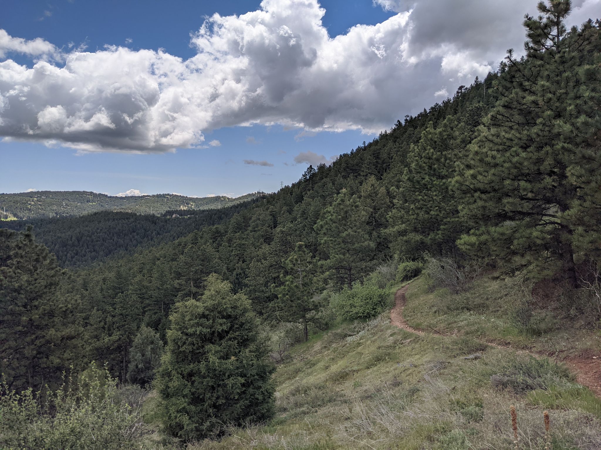 A winding dirt trail ascends a forested hillside under a partly cloudy sky. - Beaver Brook and Gudy Gaskill Trail Loop