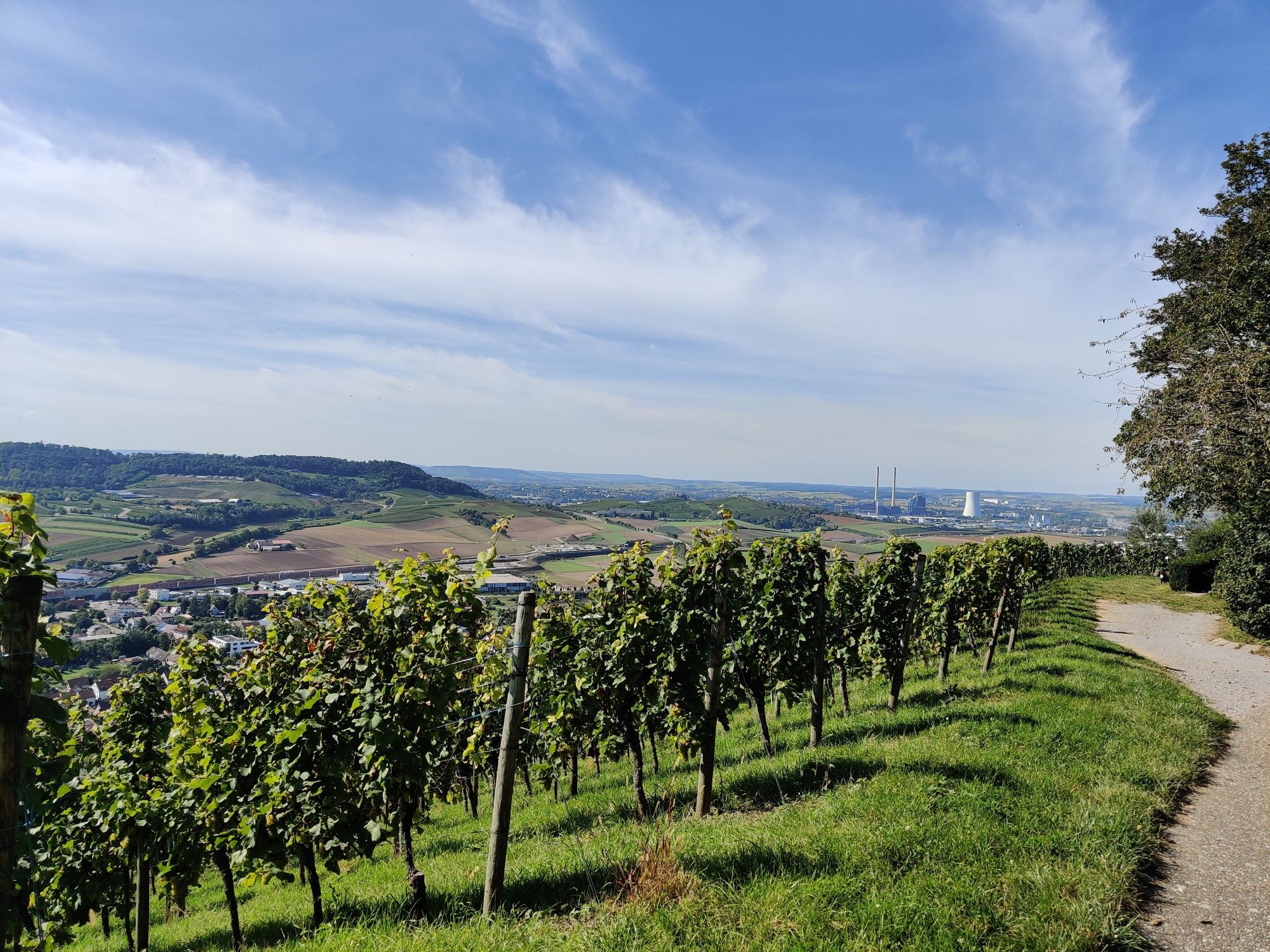 Blick vom Kayberg Richtung Neckarsulm 